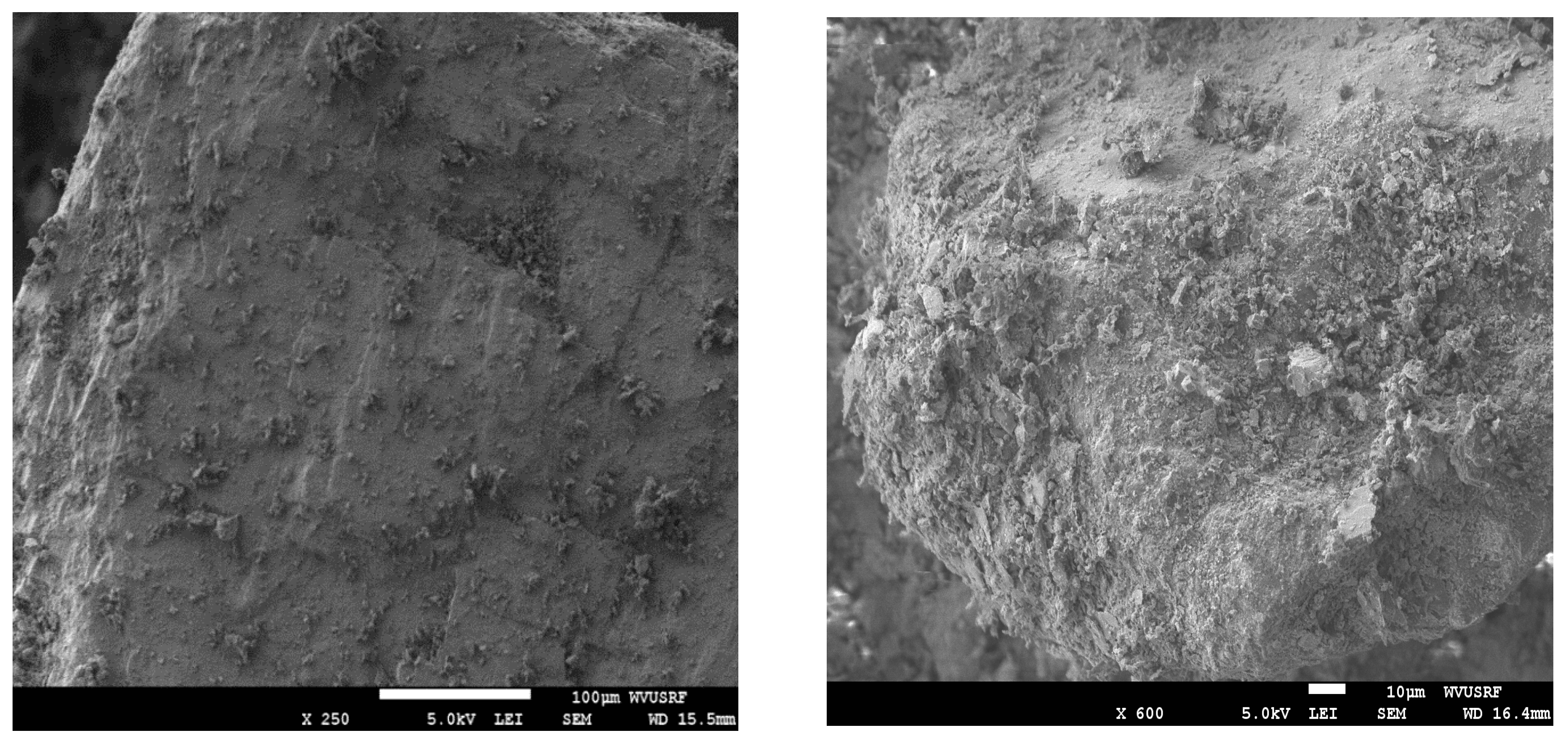 Processes 12 02468 g010