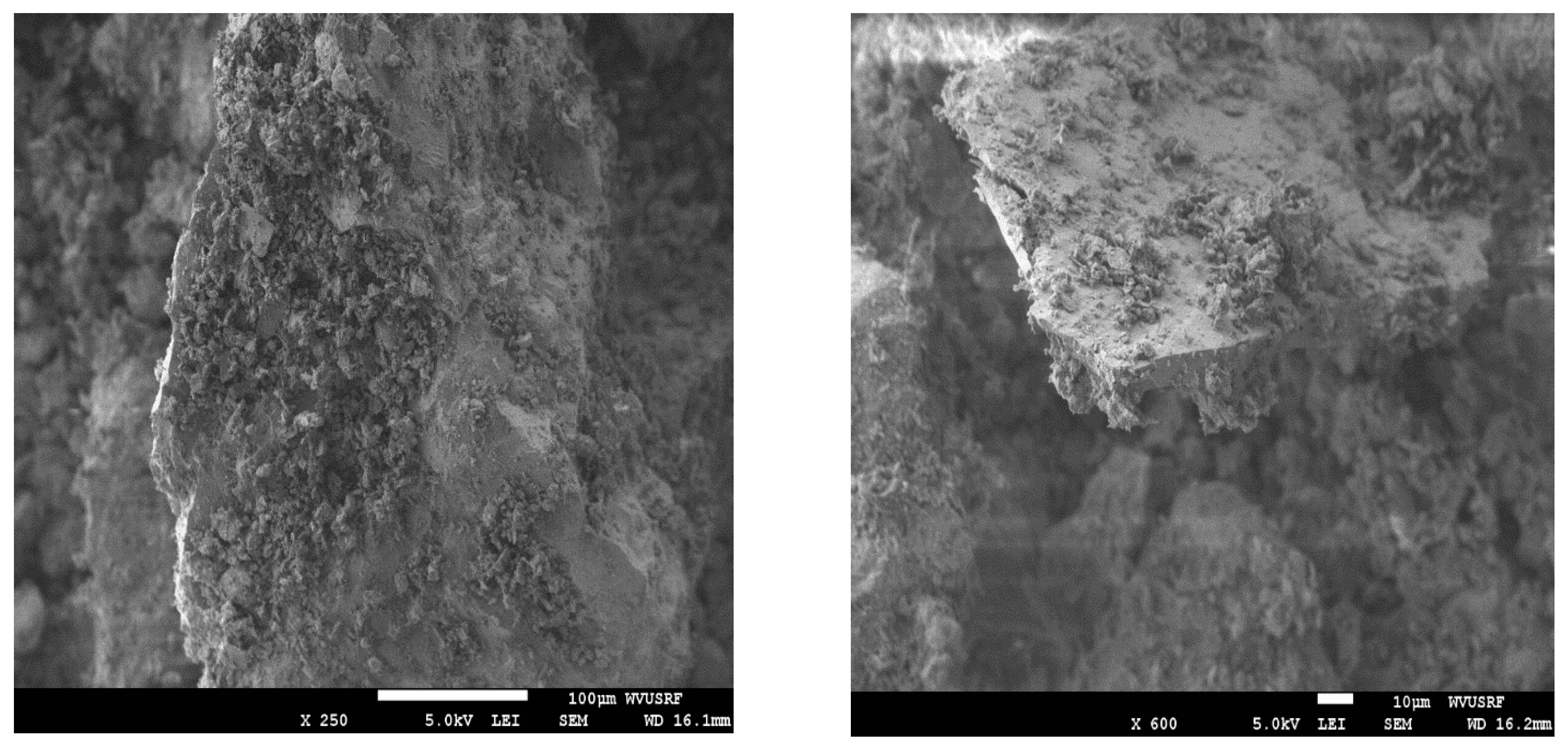 Processes 12 02468 g011