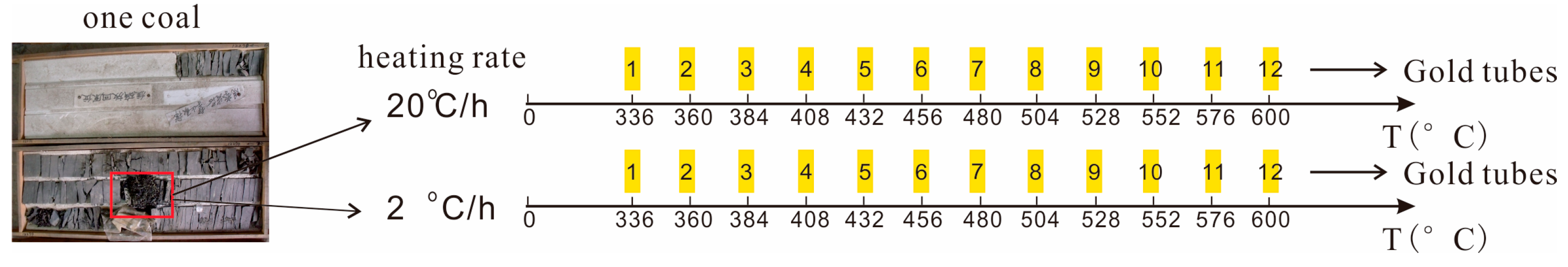 Processes 12 02476 g005