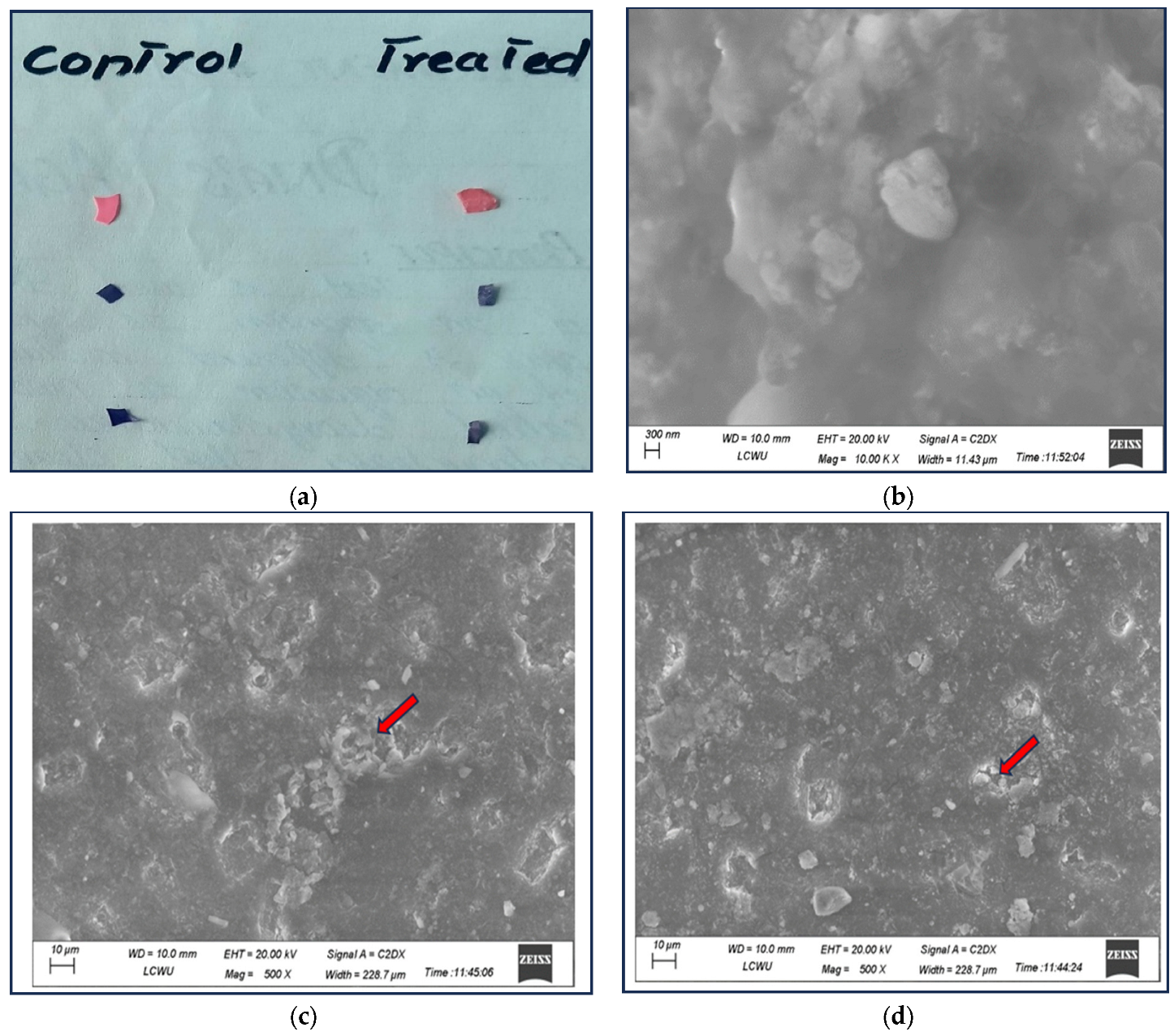 Processes 12 02516 g005