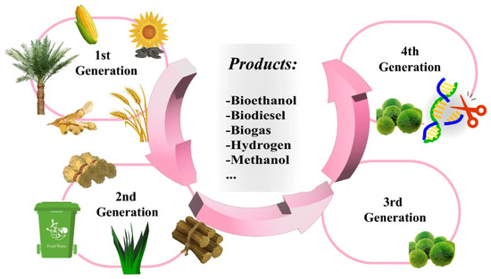 AQ -永久- / GET IN THE RING Production of Biodiesel from Industrial Sludge: Recent