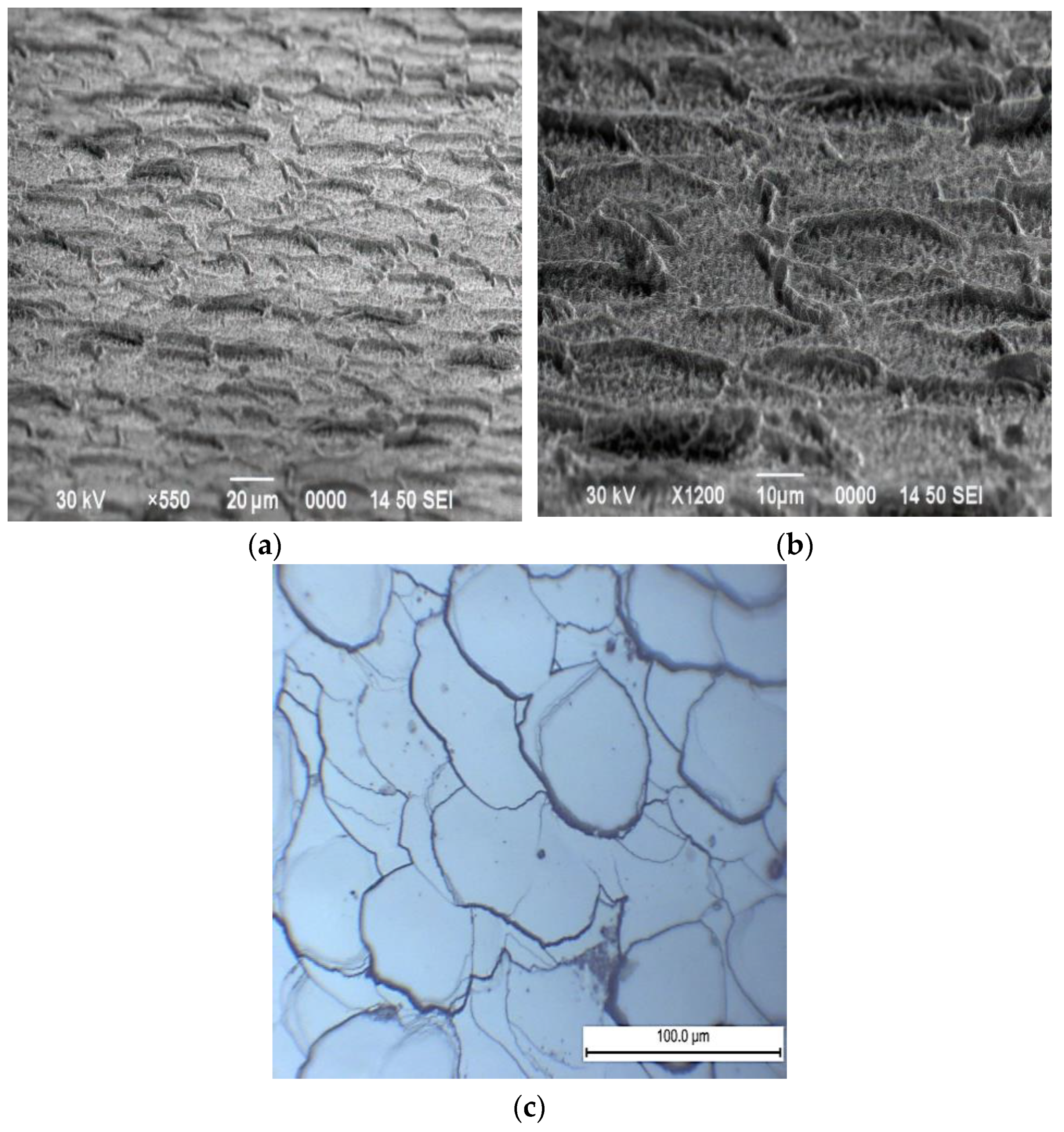 Processes 12 02541 g001