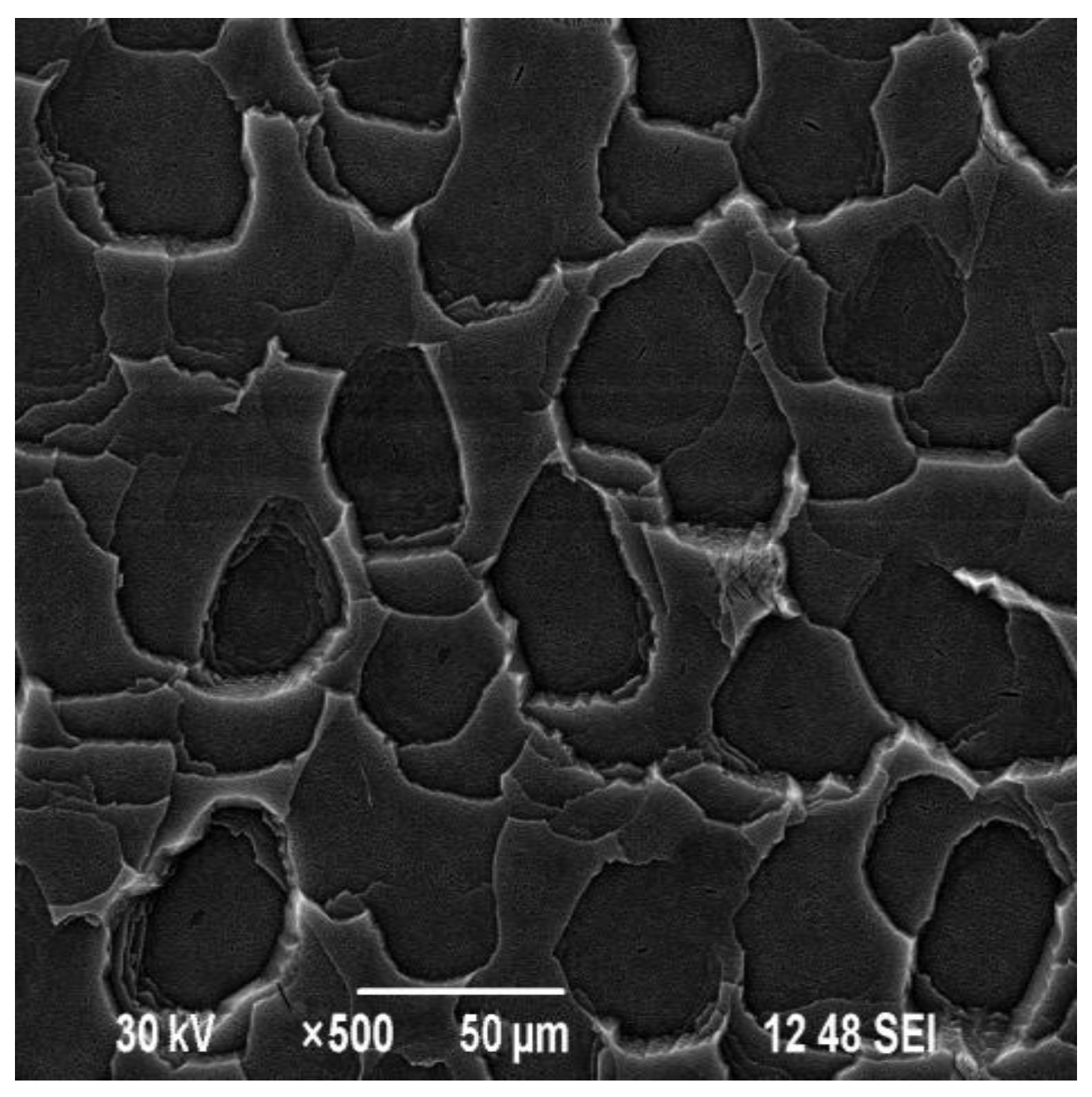 Processes 12 02541 g002