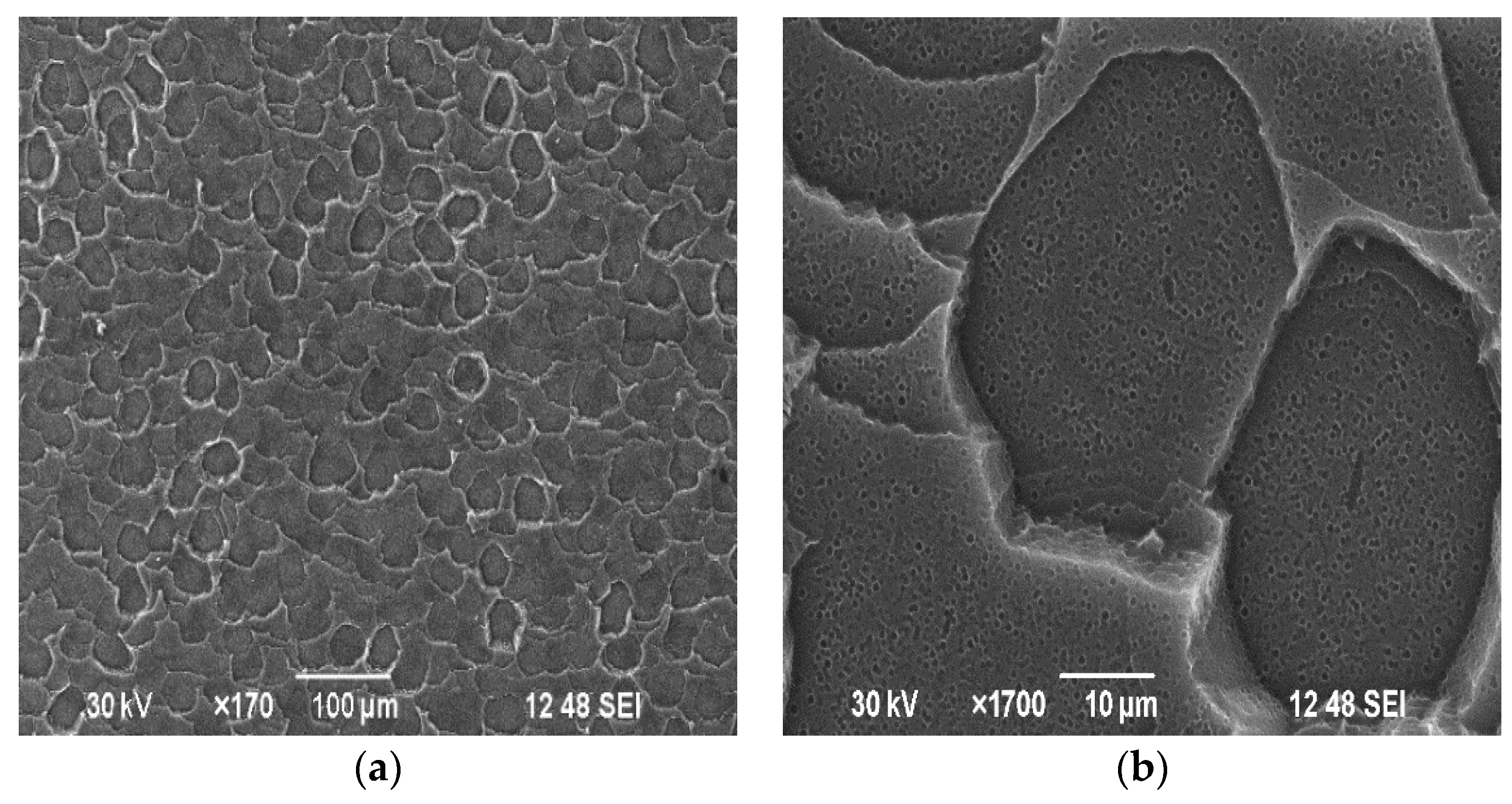 Processes 12 02541 g006a