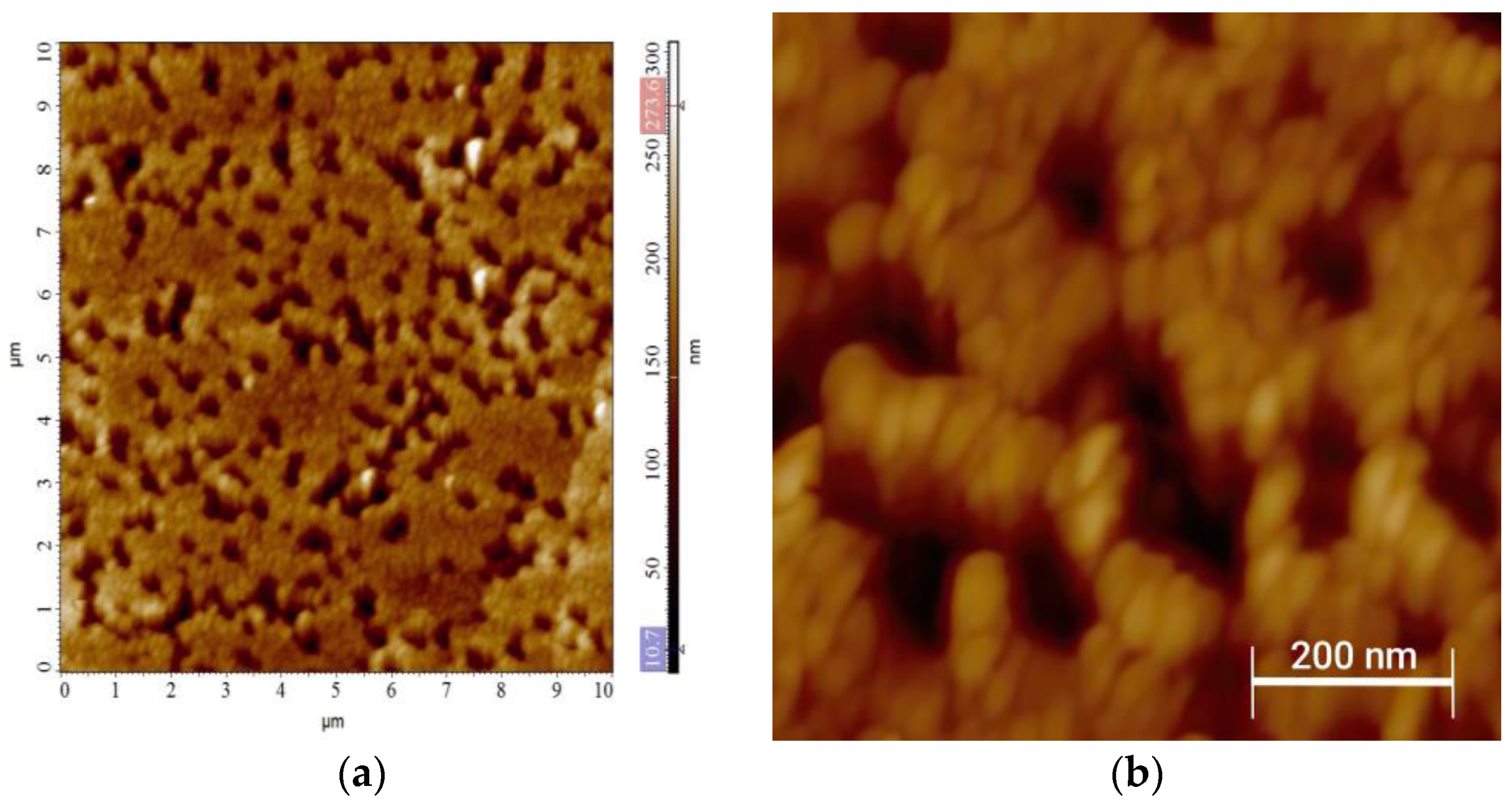 Processes 12 02541 g007