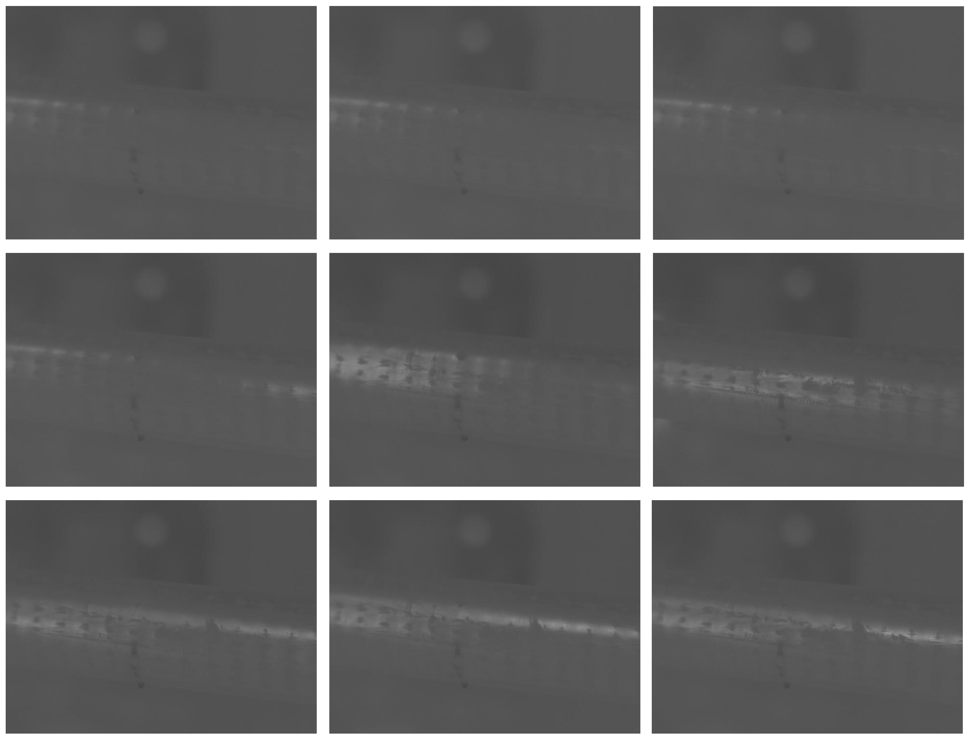 Processes 12 02543 g003