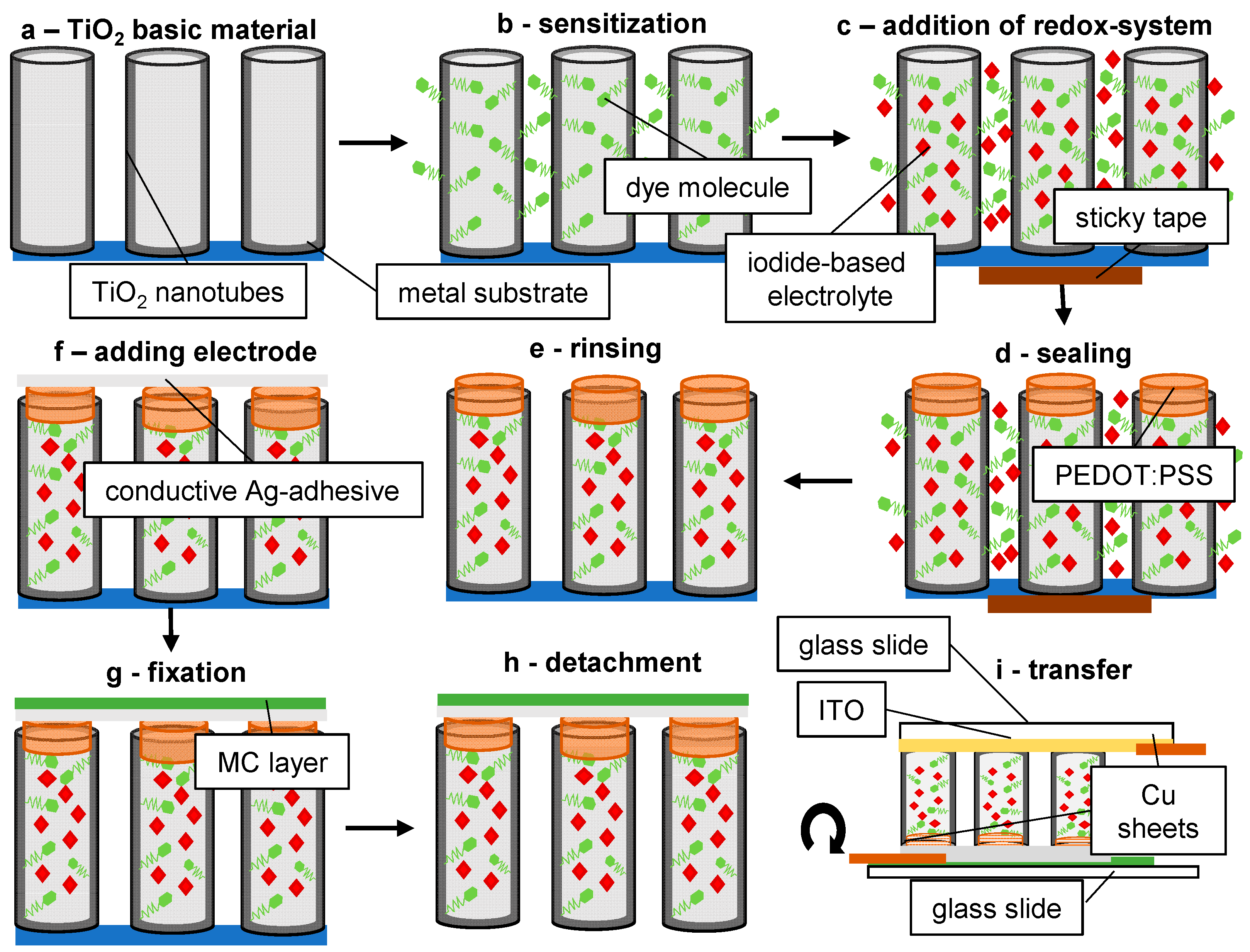 Processes 12 02546 g002