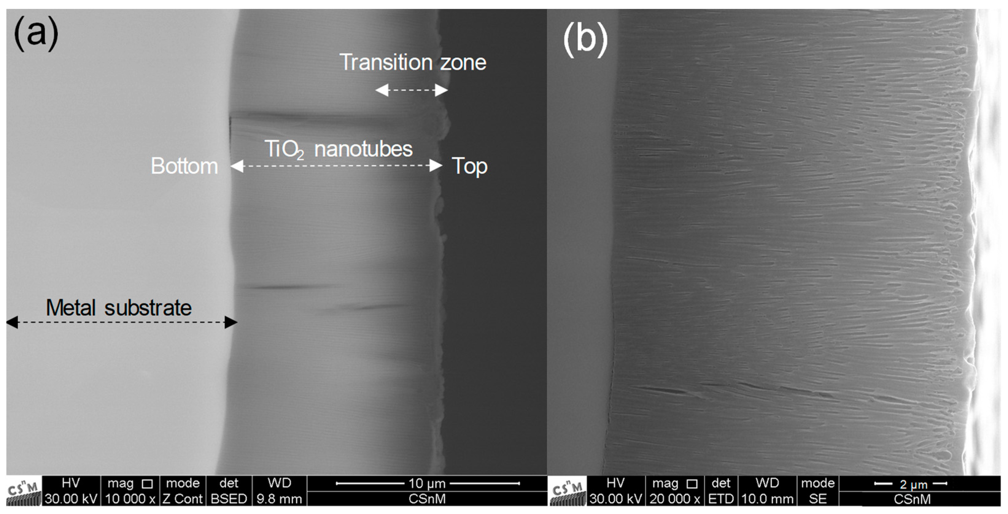Processes 12 02546 g003