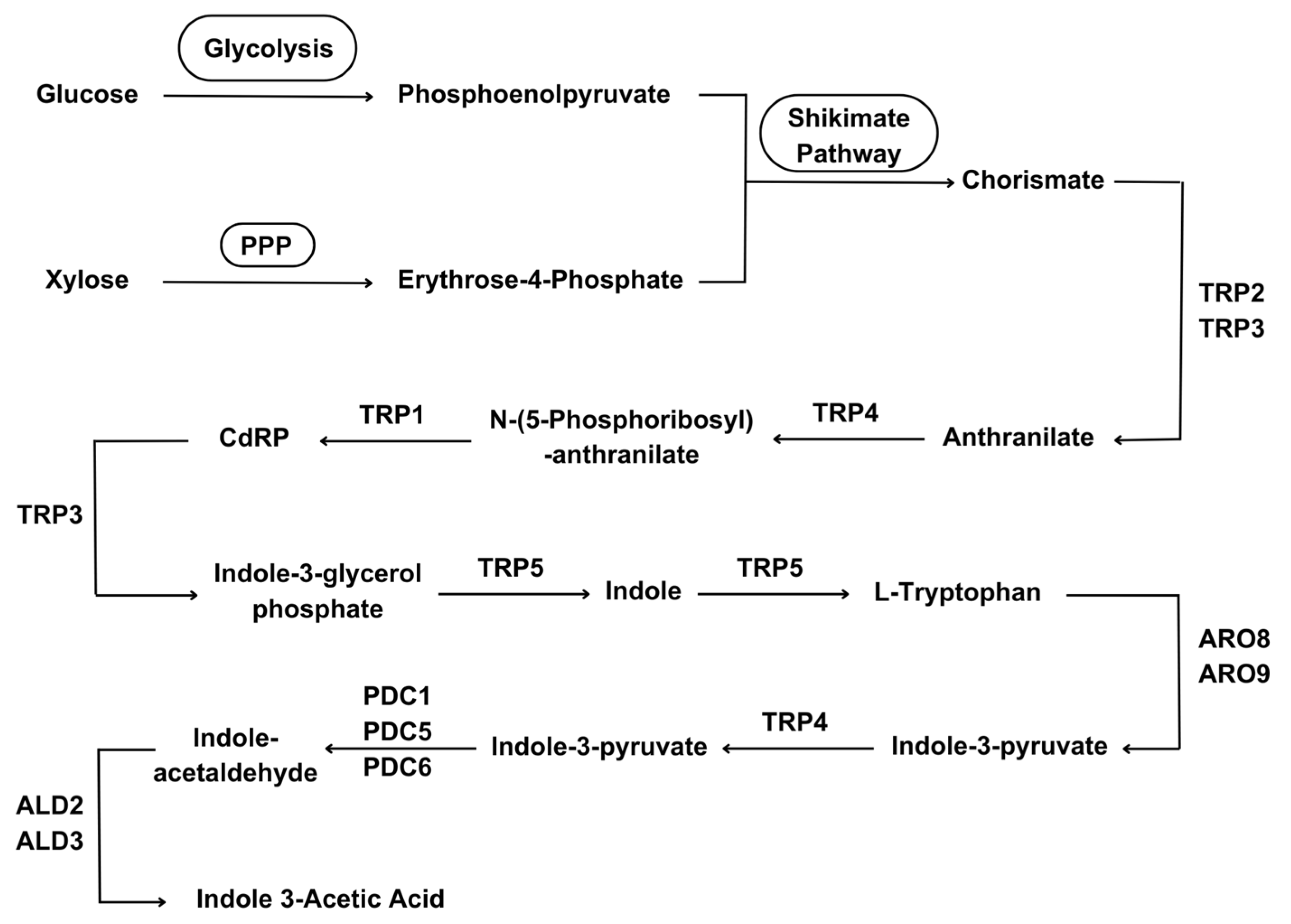 Processes 12 02555 g002