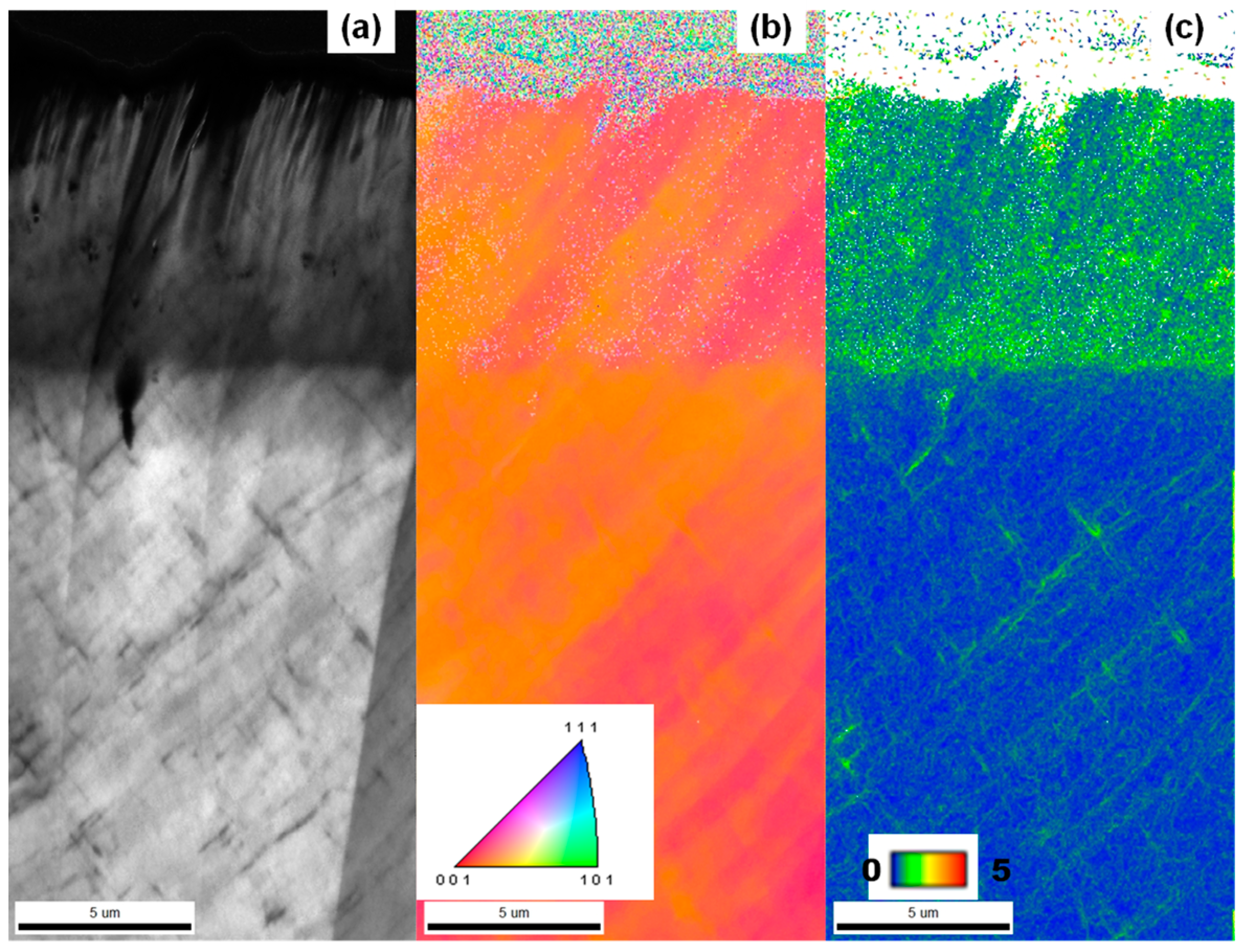 Processes 12 02561 g010
