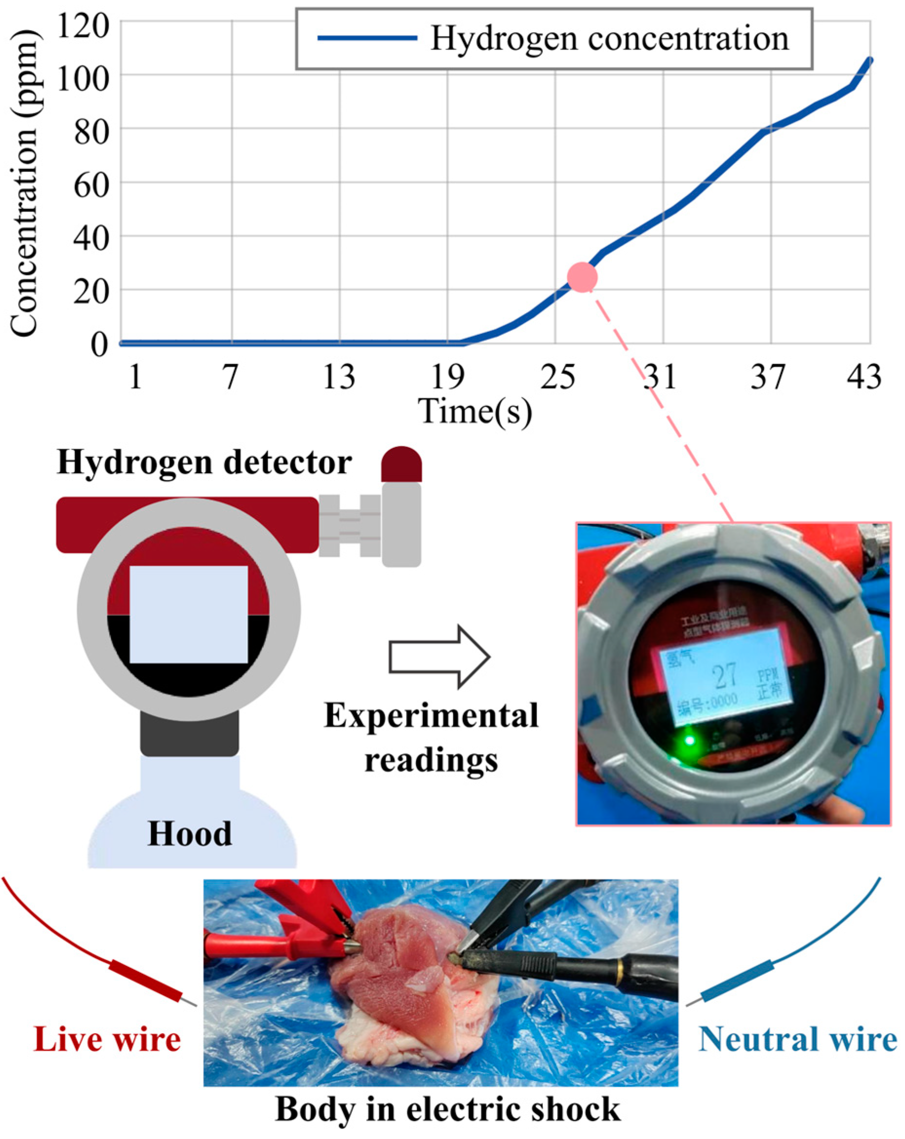 Processes 12 02565 g007