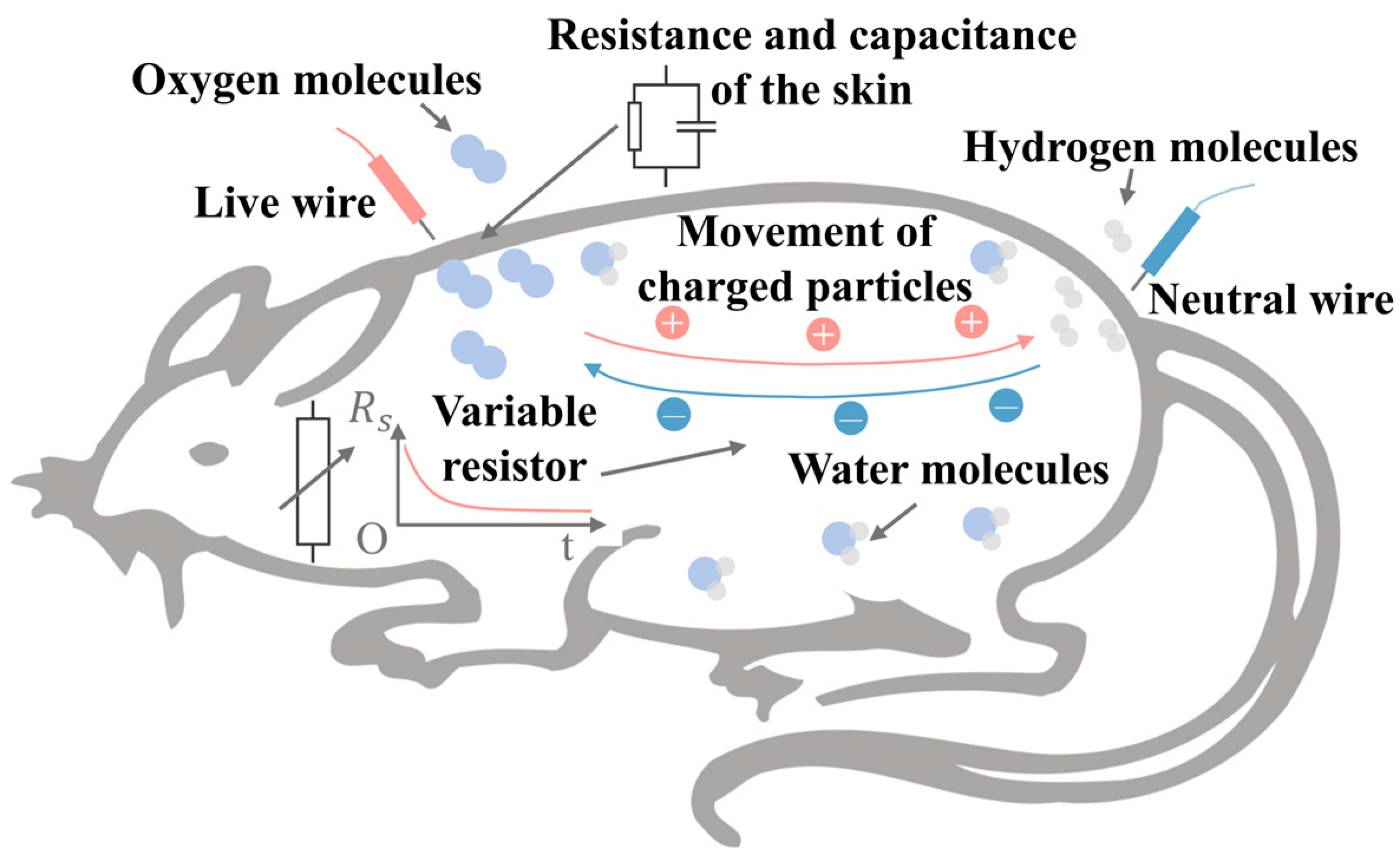 Processes 12 02565 g008