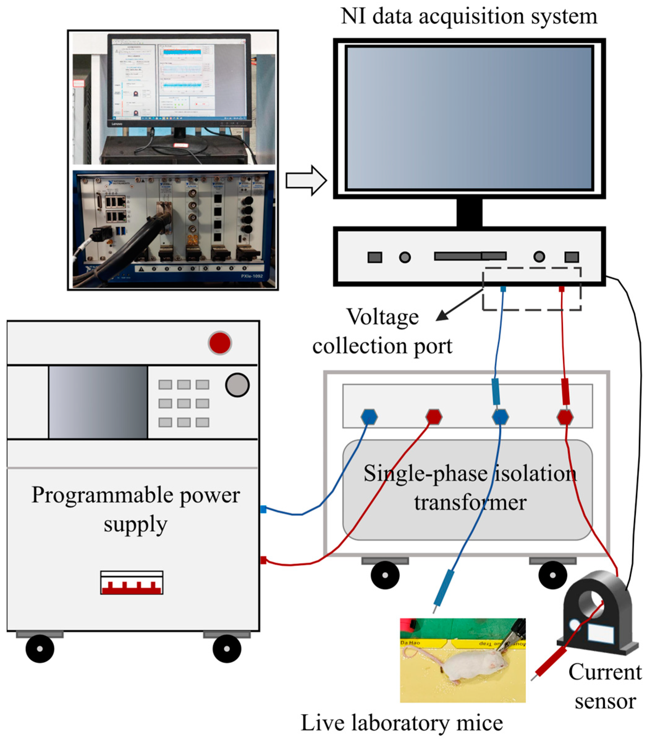 Processes 12 02565 g011