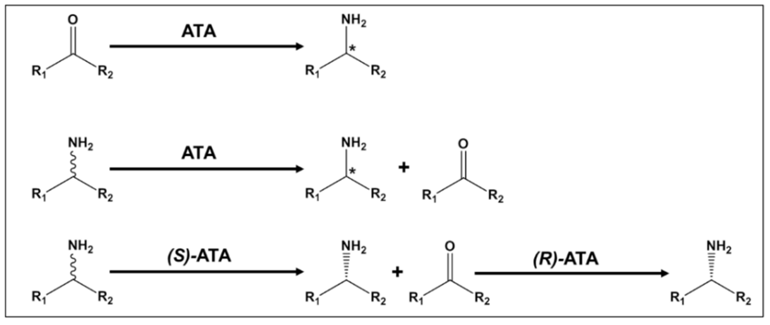 The Promising Role of Amine Transaminase Cascades in the Synthesis