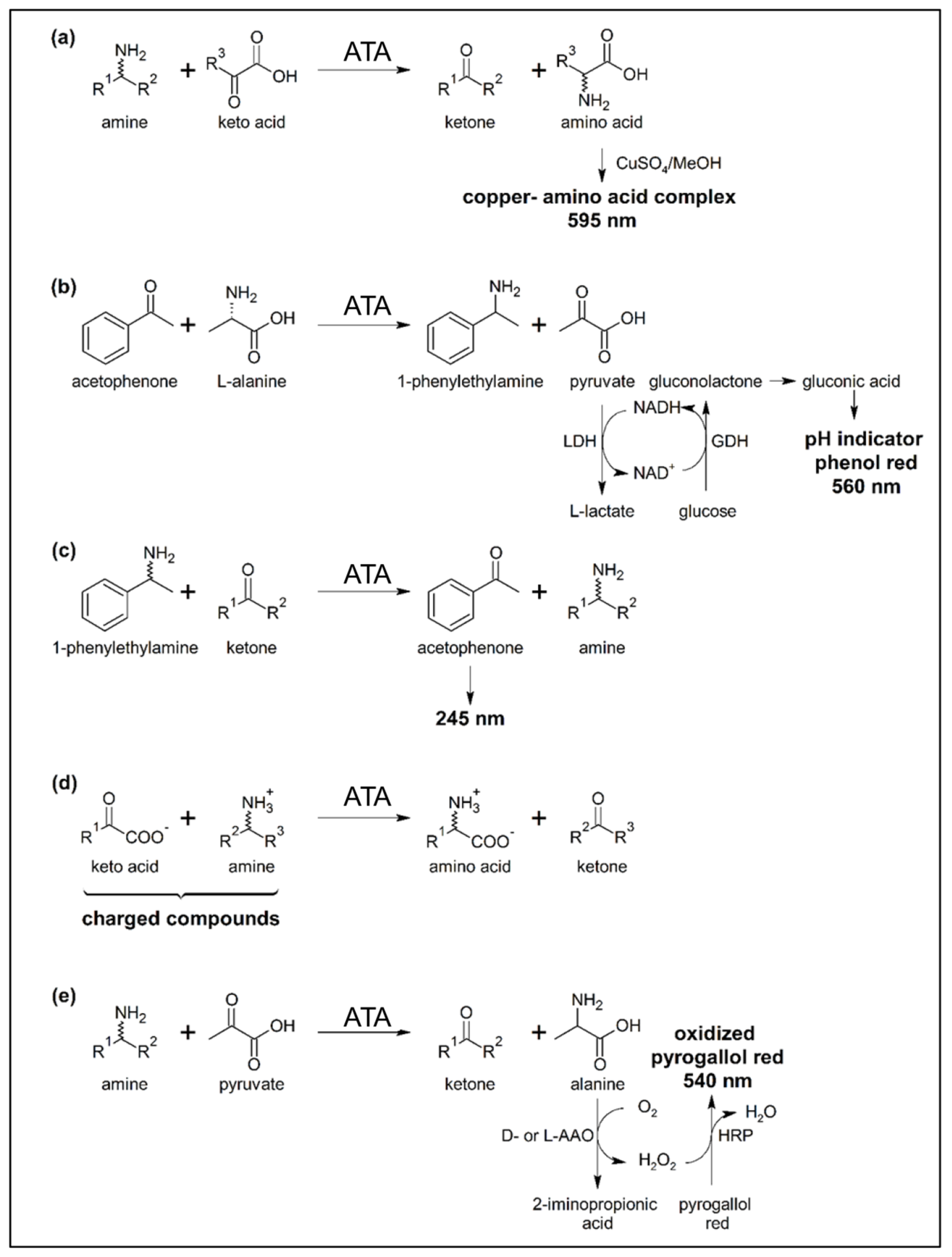 aminaseページ The Promising Role of Amine Transaminase Cascades in the Synthesis