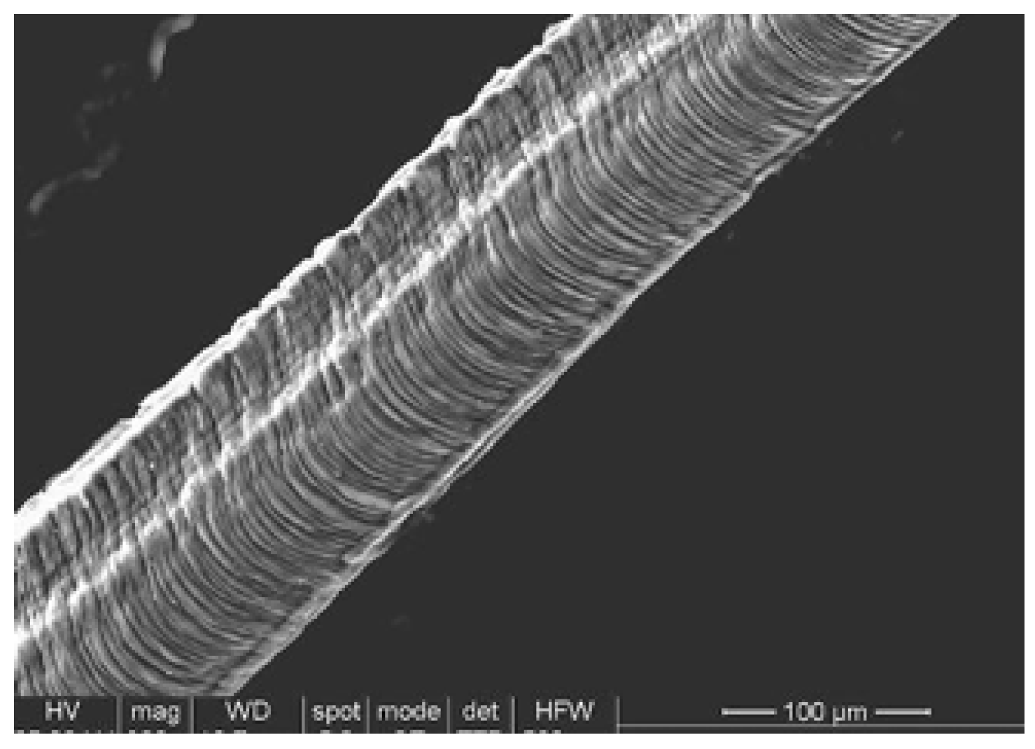 Processes 12 02582 g008