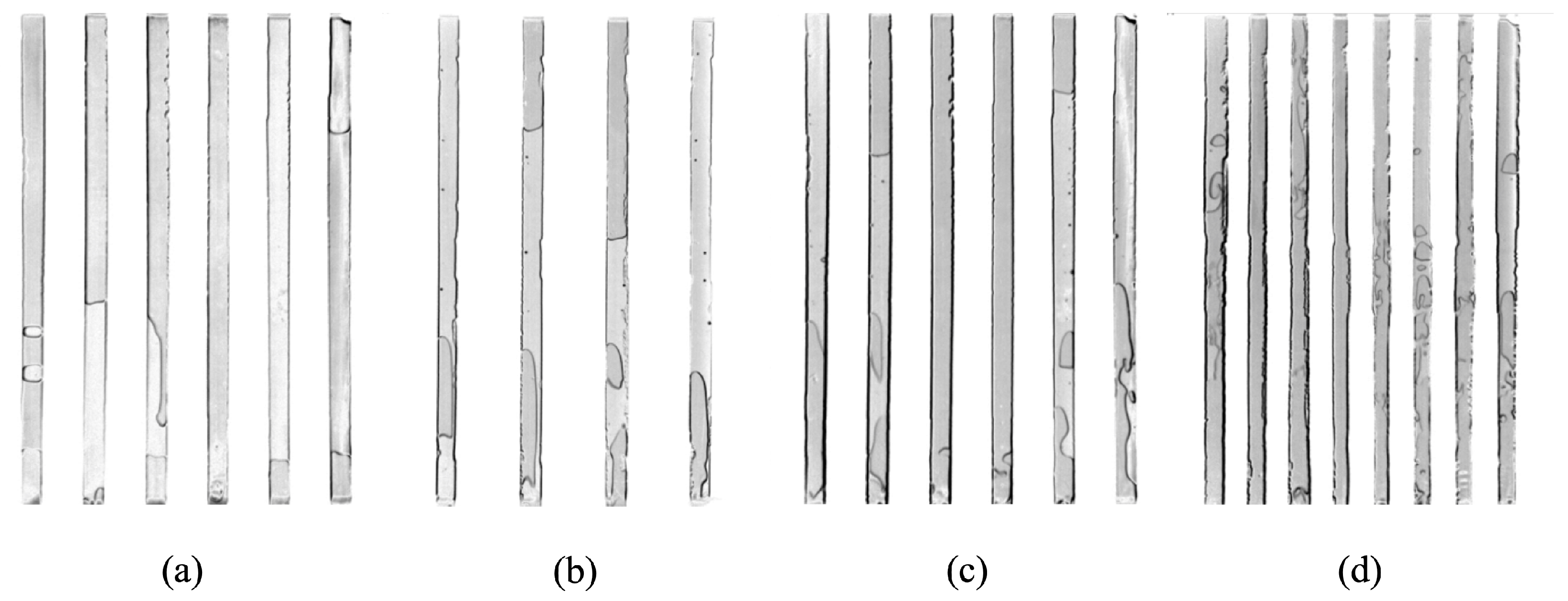Processes 12 02585 g003