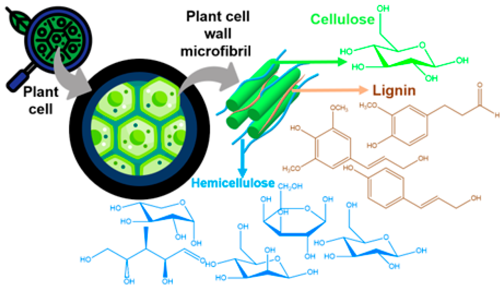 Processes 12 02587 g001