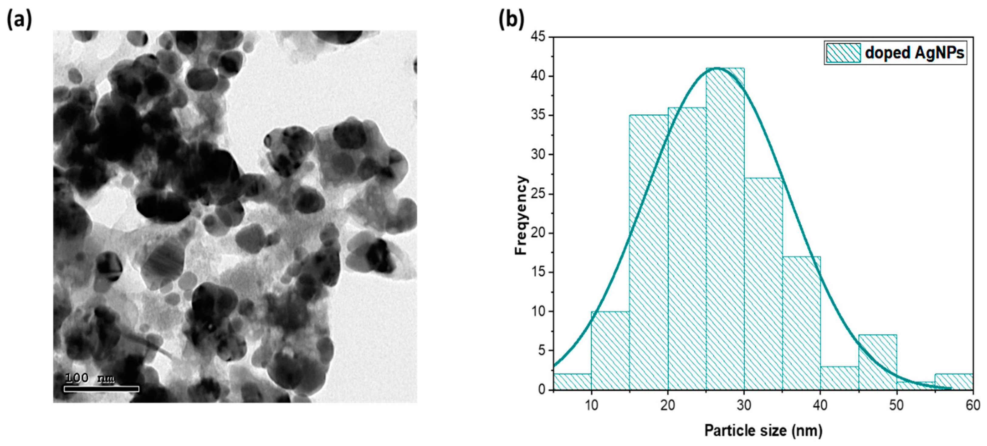 Processes 12 02590 g002