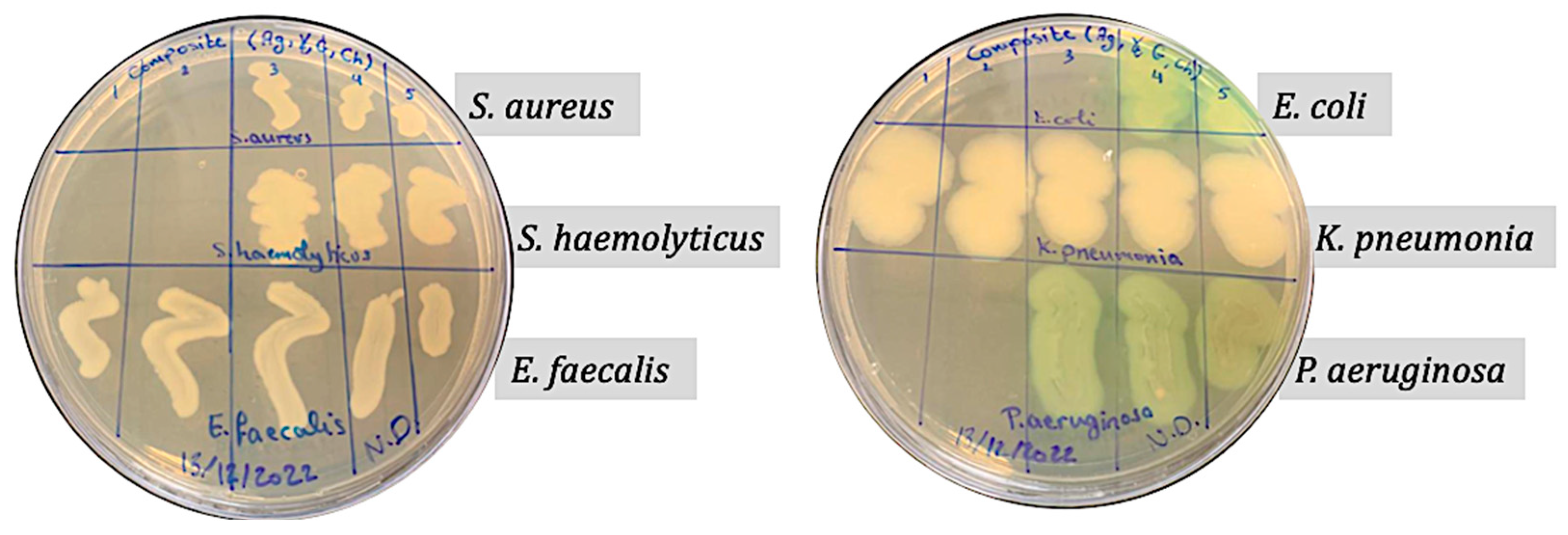 Processes 12 02590 g009