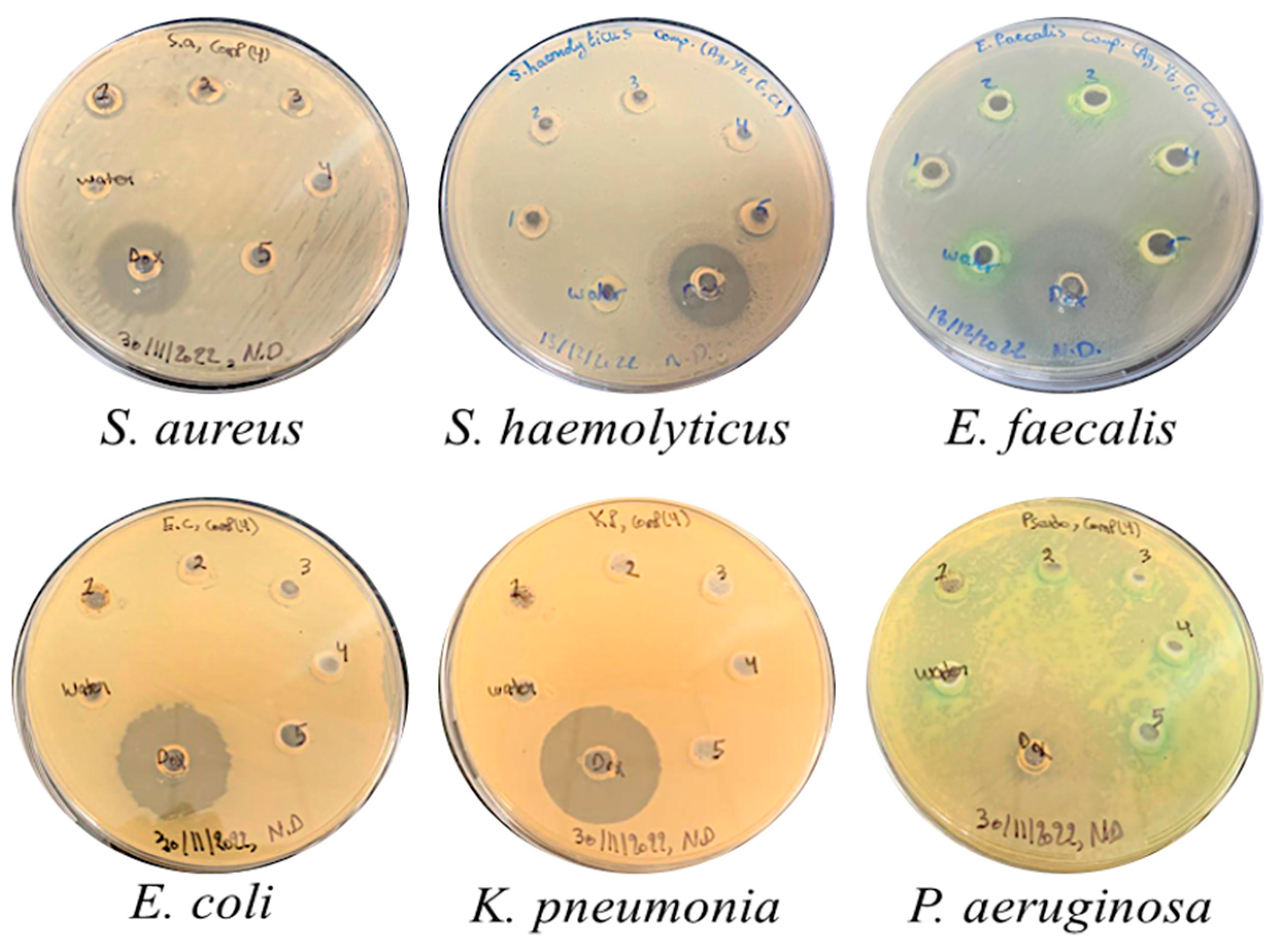 Processes 12 02590 g010