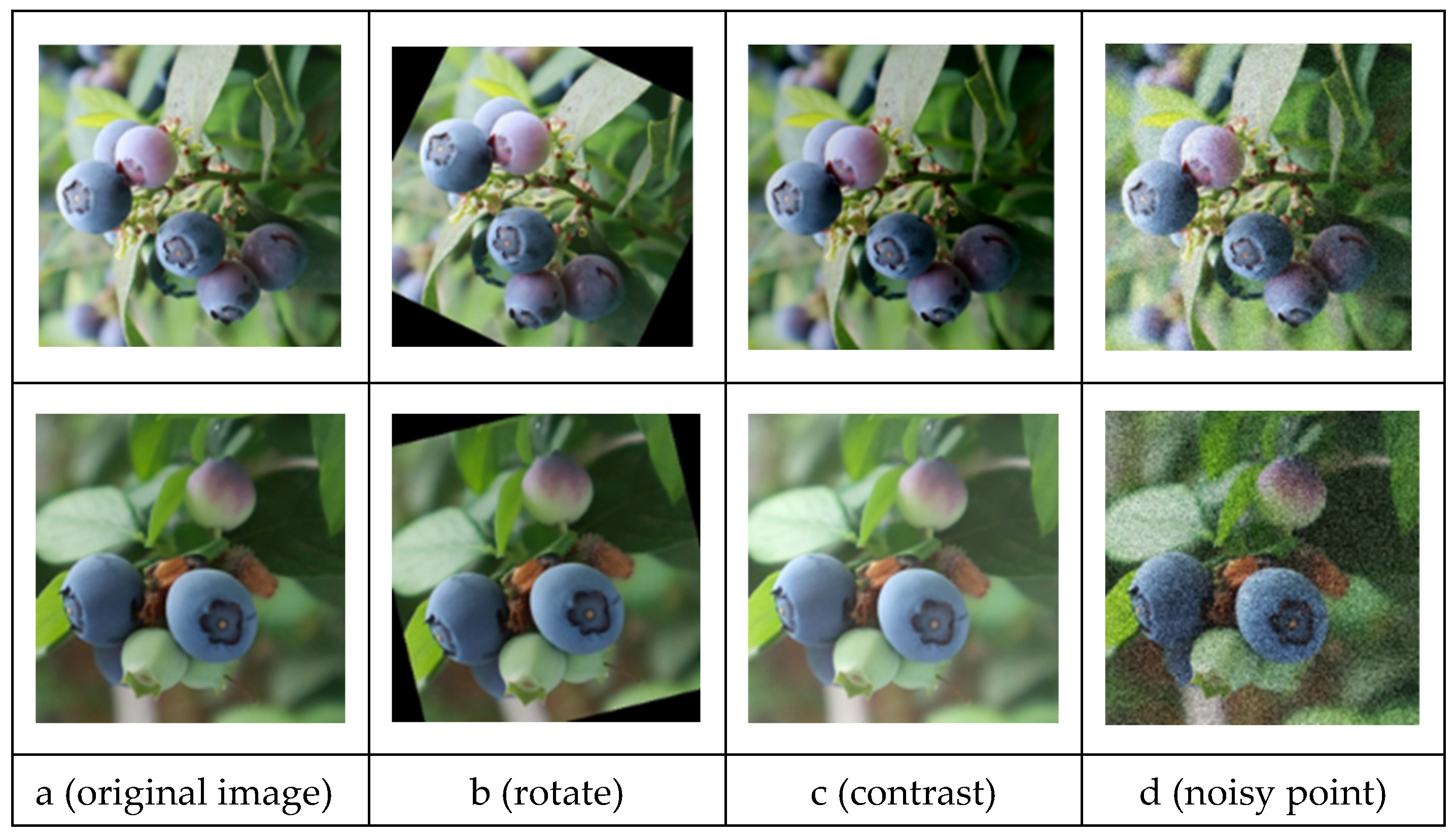 Processes 12 02591 g002