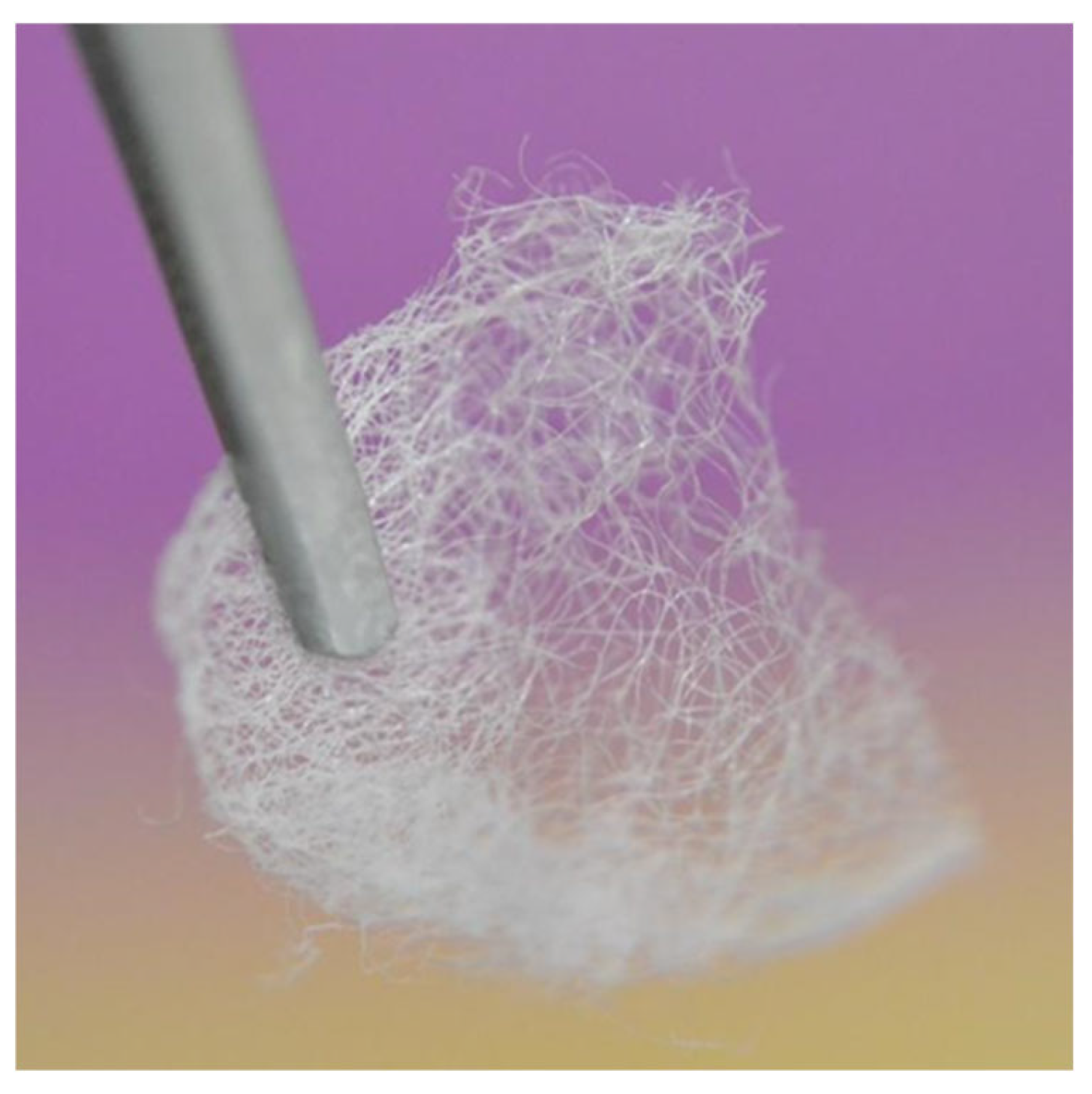 Processes 12 02594 g001