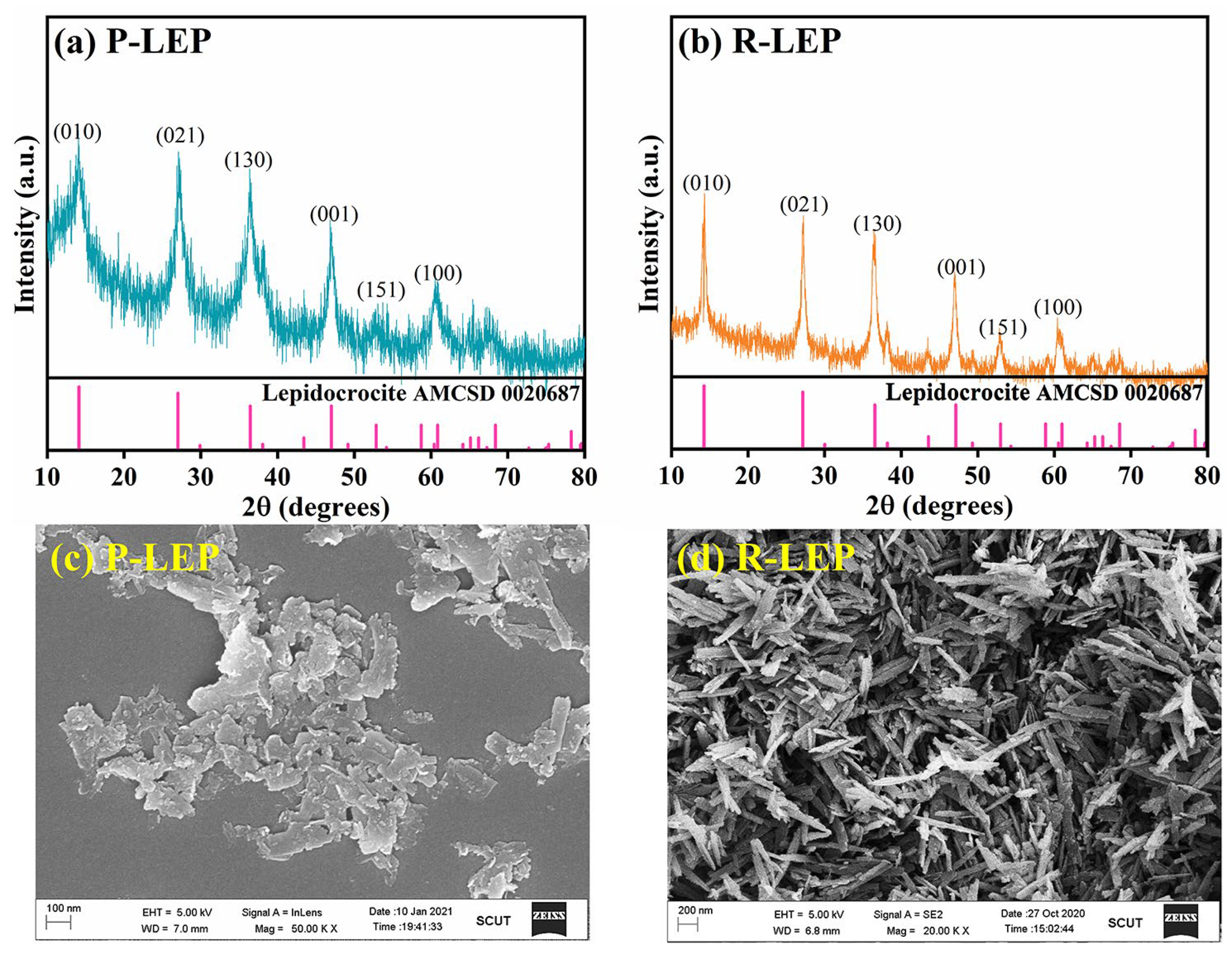 Processes 12 02598 g001