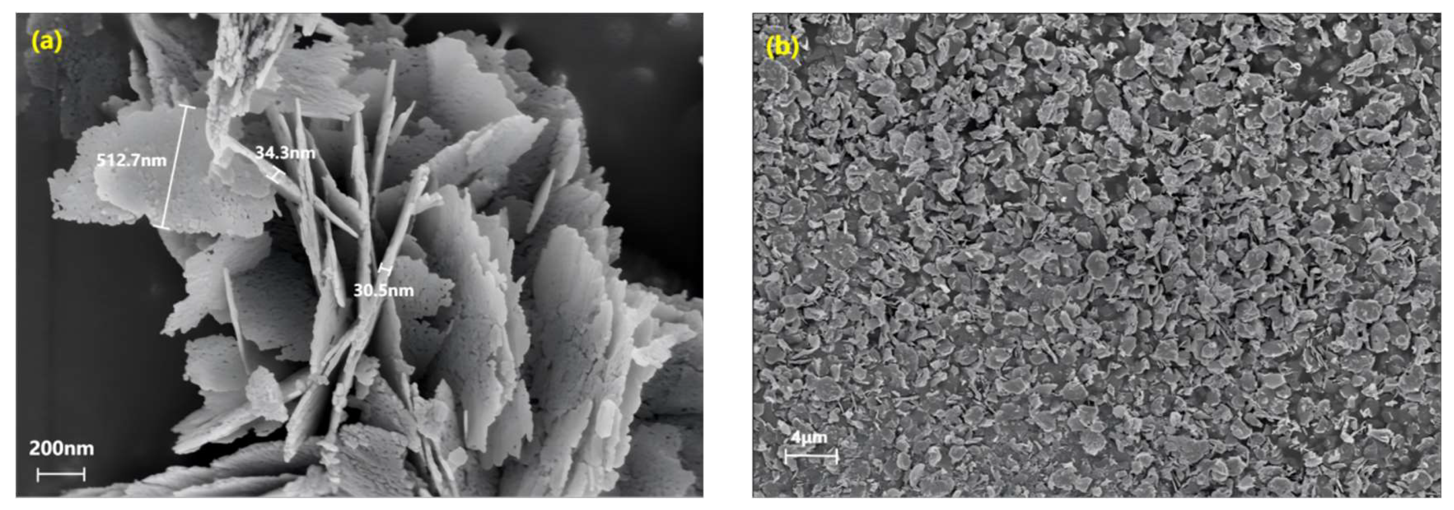 Processes 12 02601 g020