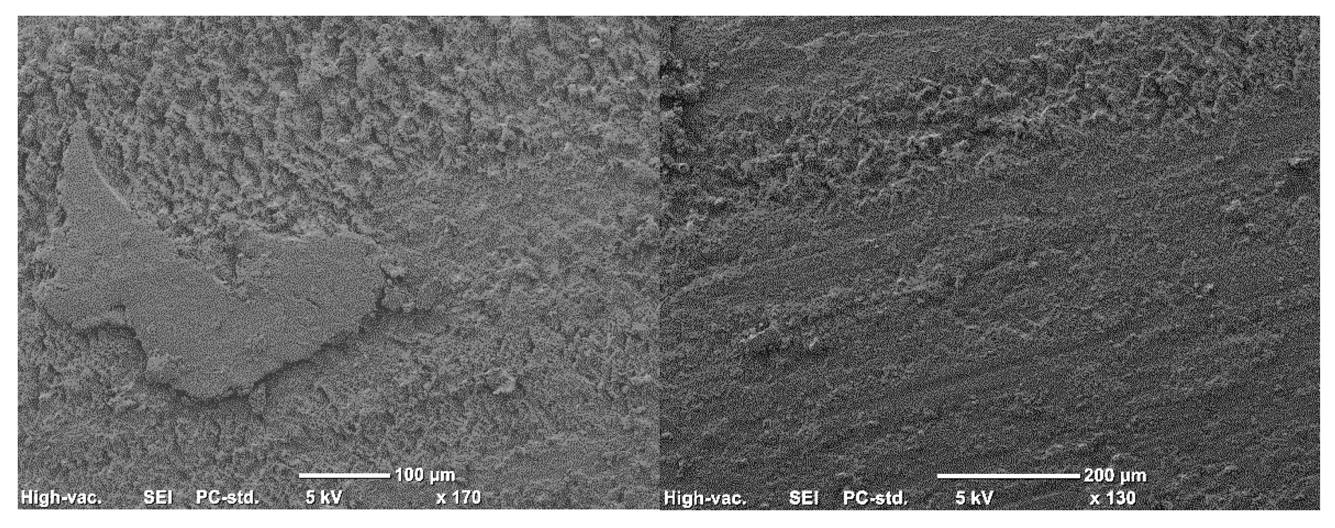 Processes 12 02609 g012