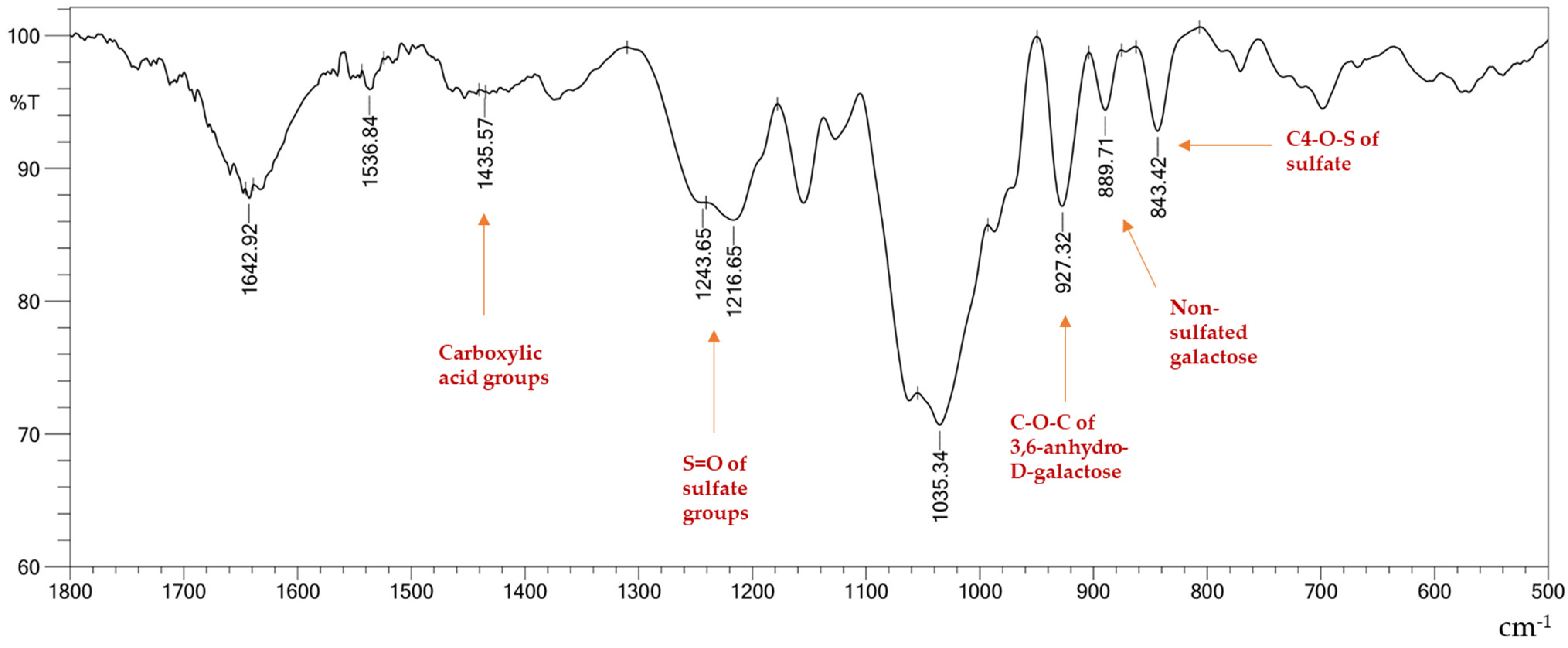 Processes 12 02610 g002