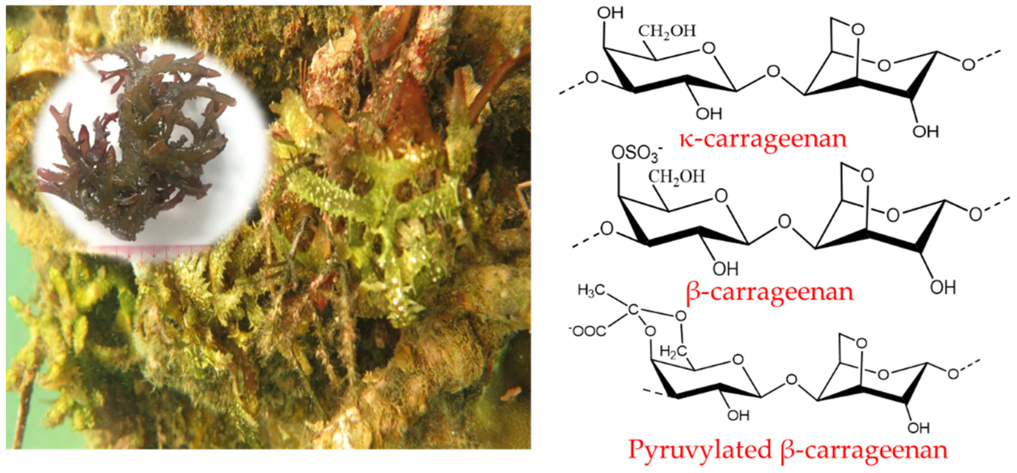 Processes 12 02610 g008