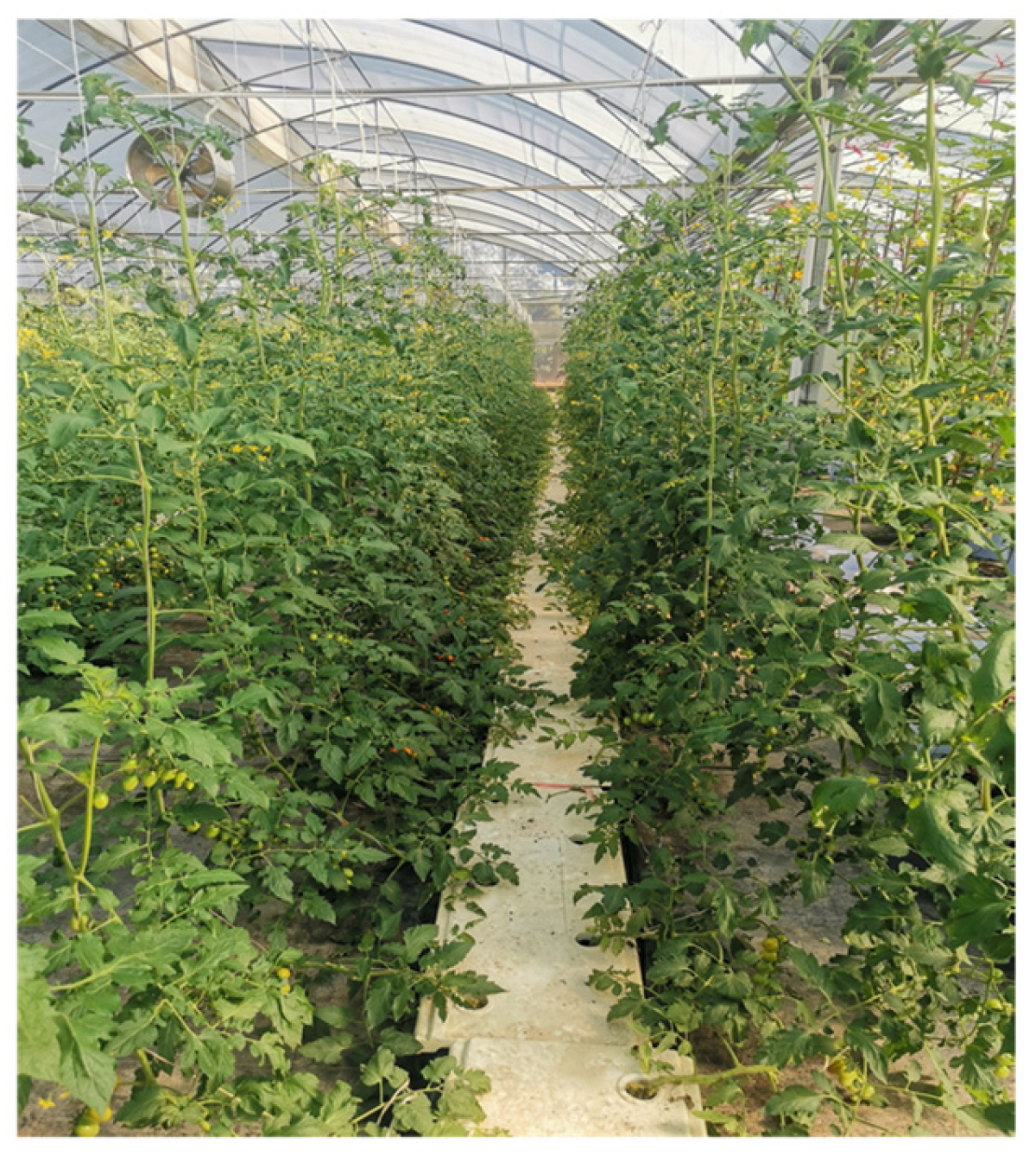 Processes 12 02622 g002