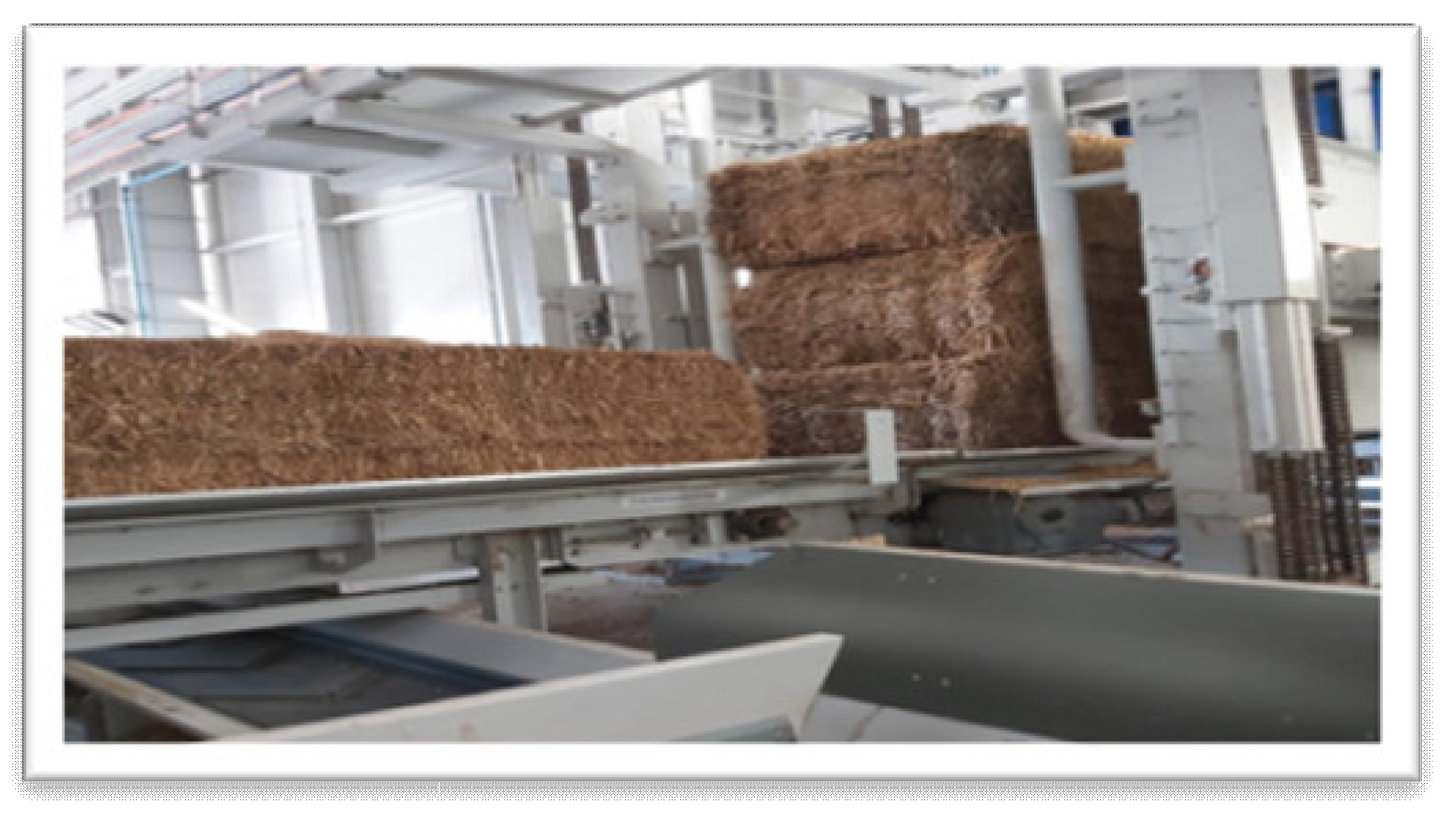 Processes 12 02625 g003