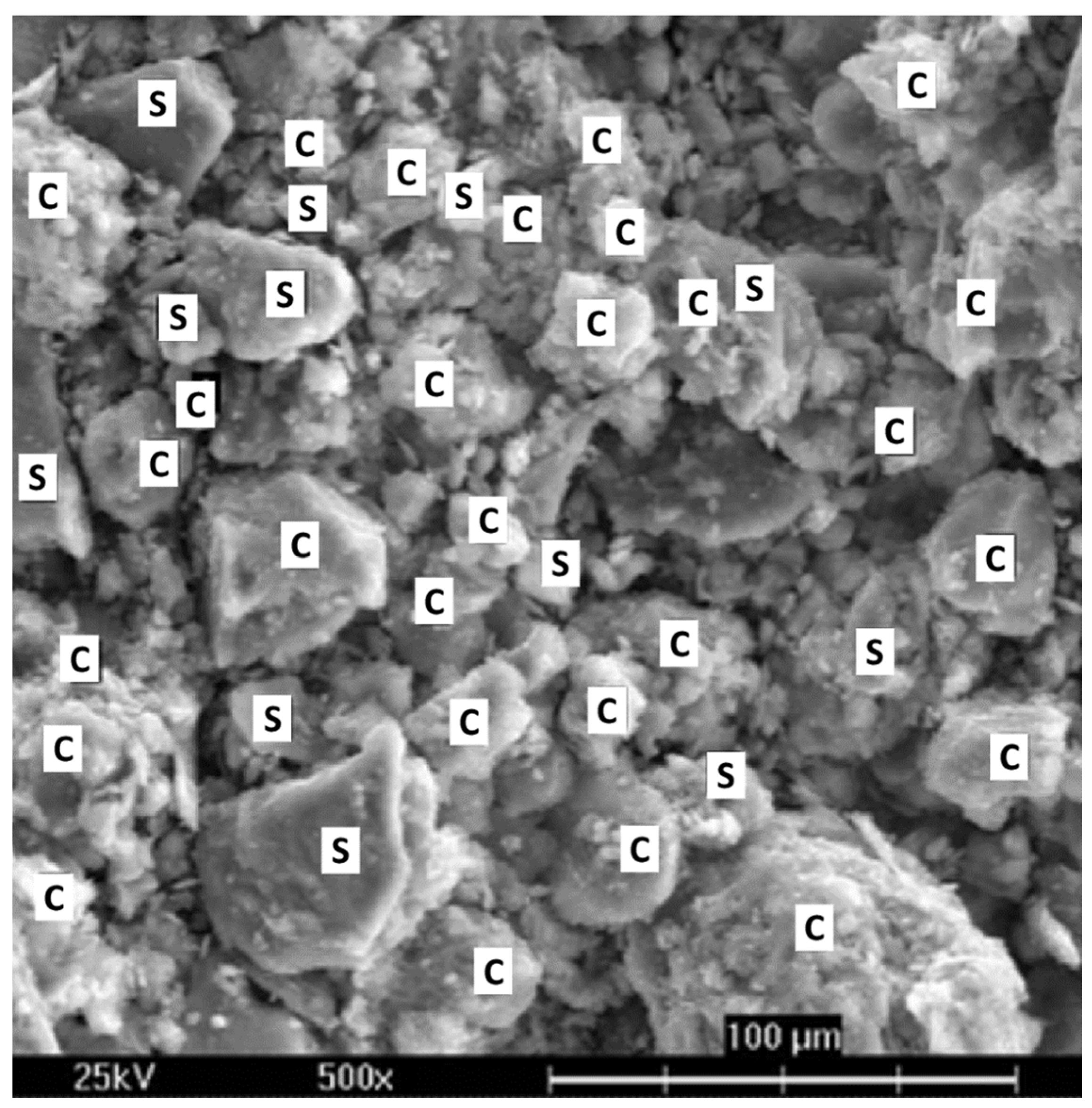 Processes 12 02627 g002