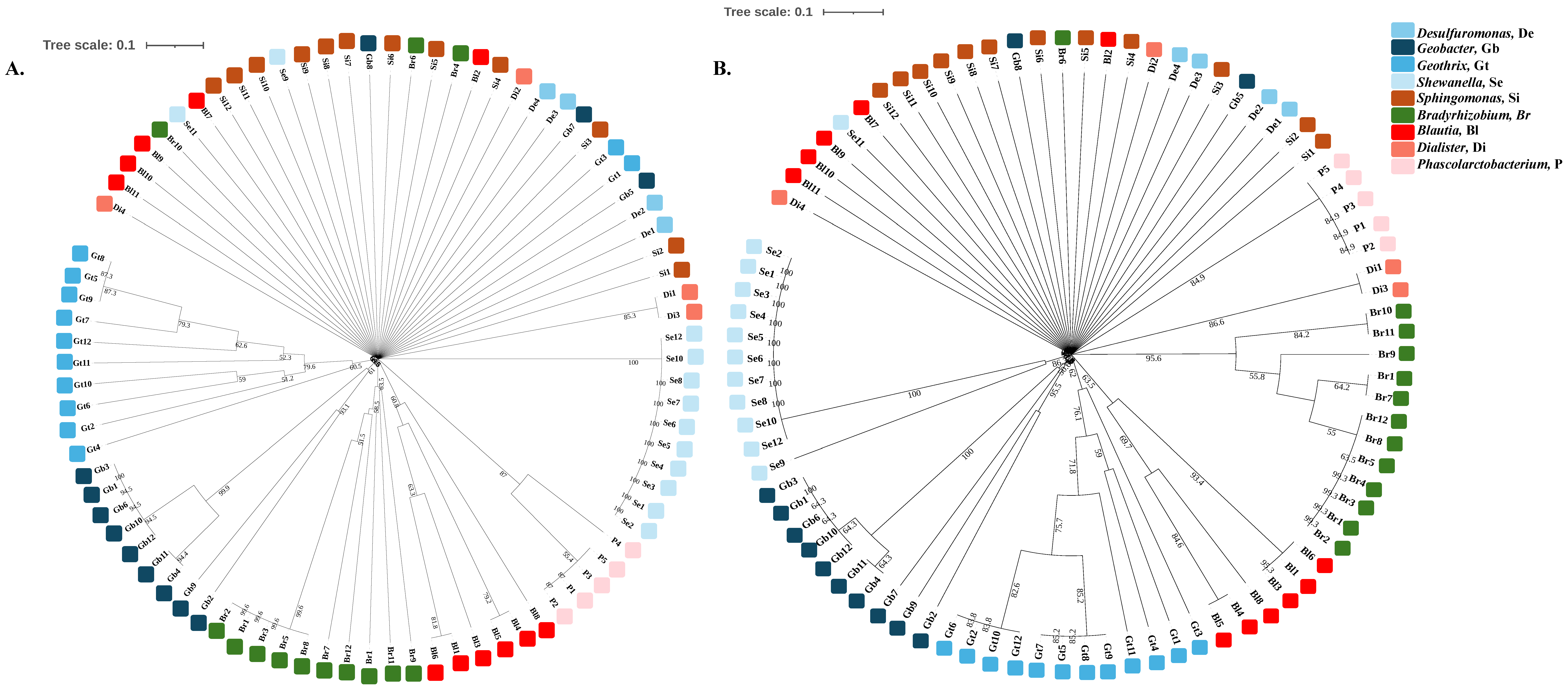 Processes 12 02636 g003