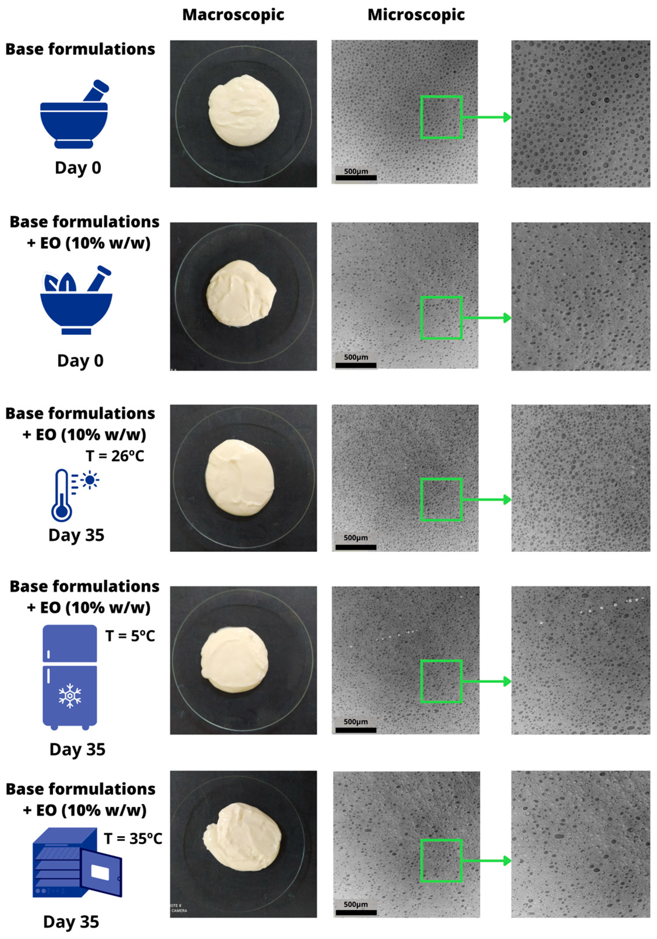 Processes 12 02640 g002 Processes 12 02640 g002