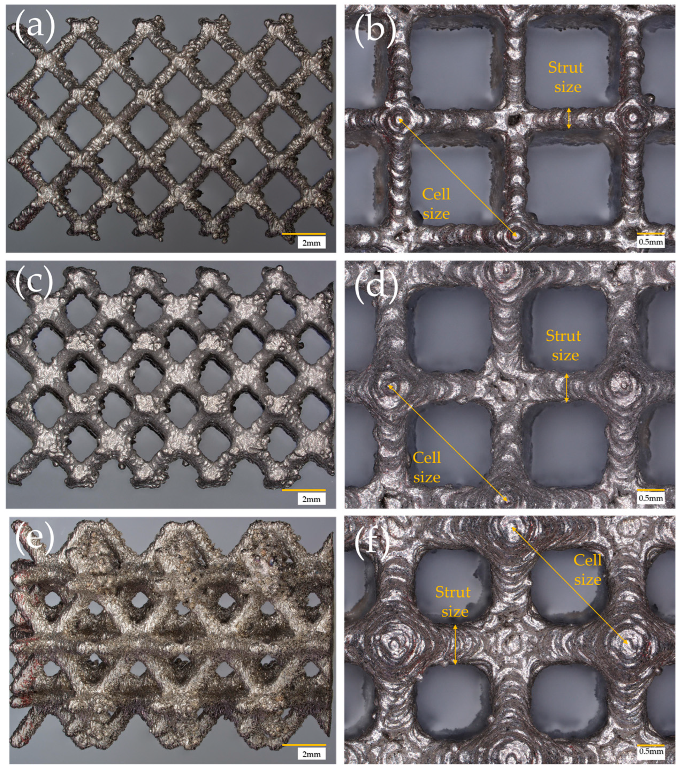 Processes 12 02663 g001