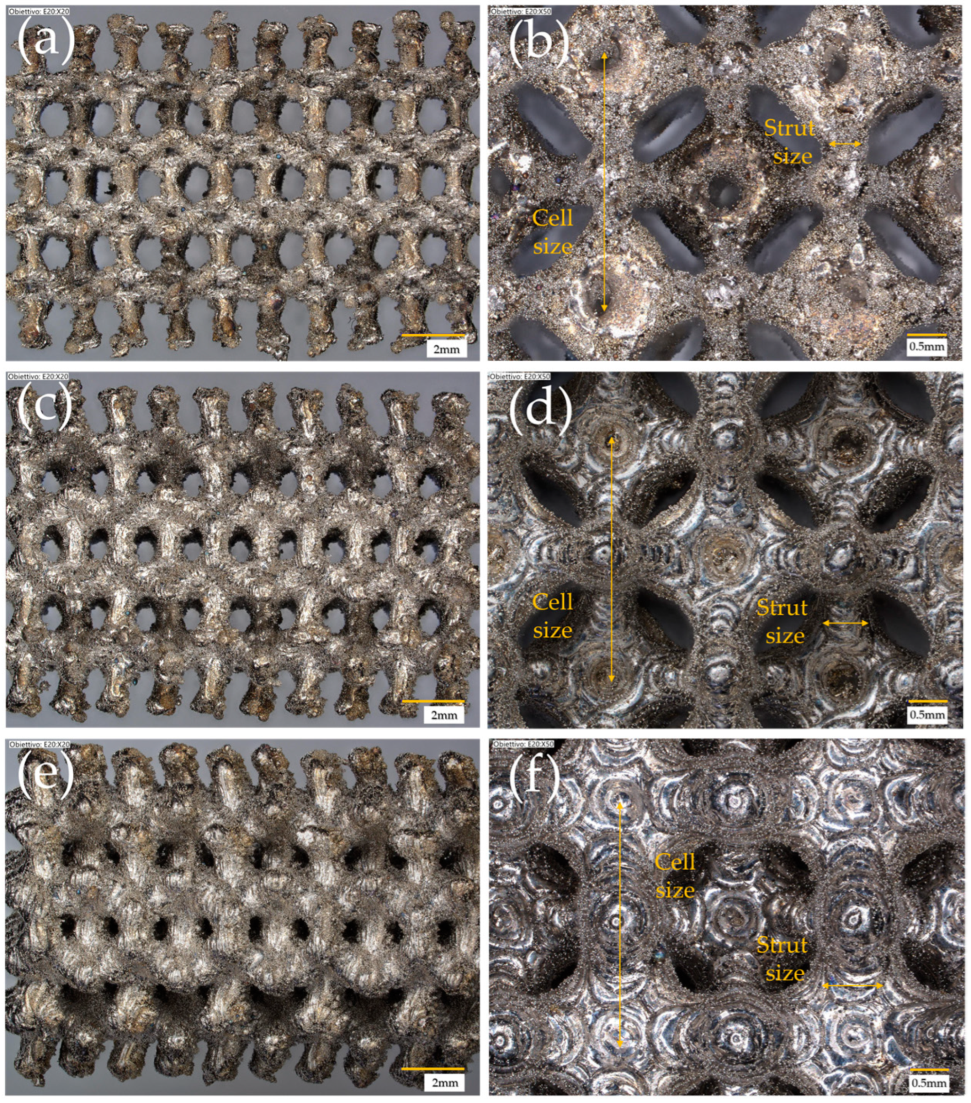 Processes 12 02663 g002