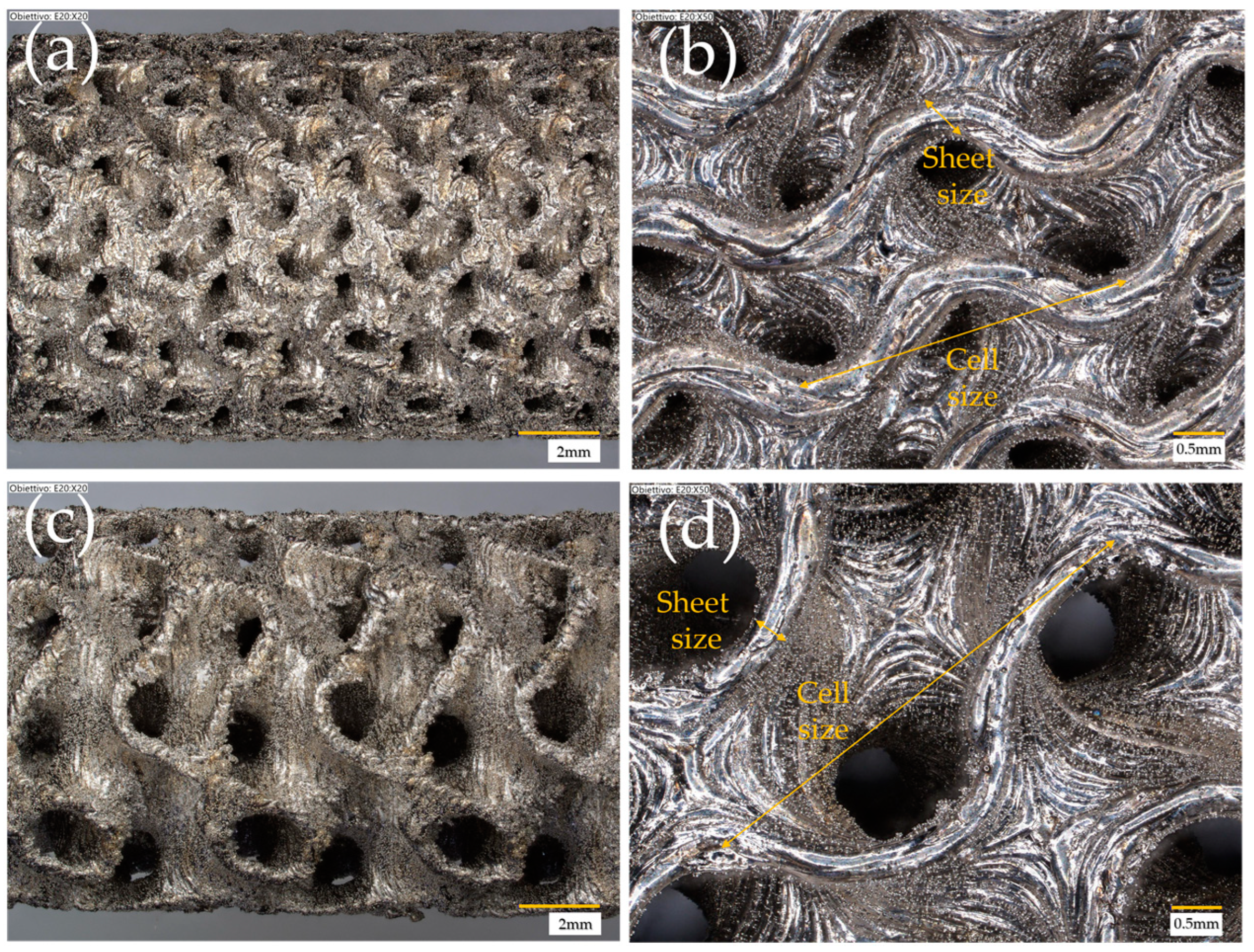 Processes 12 02663 g003