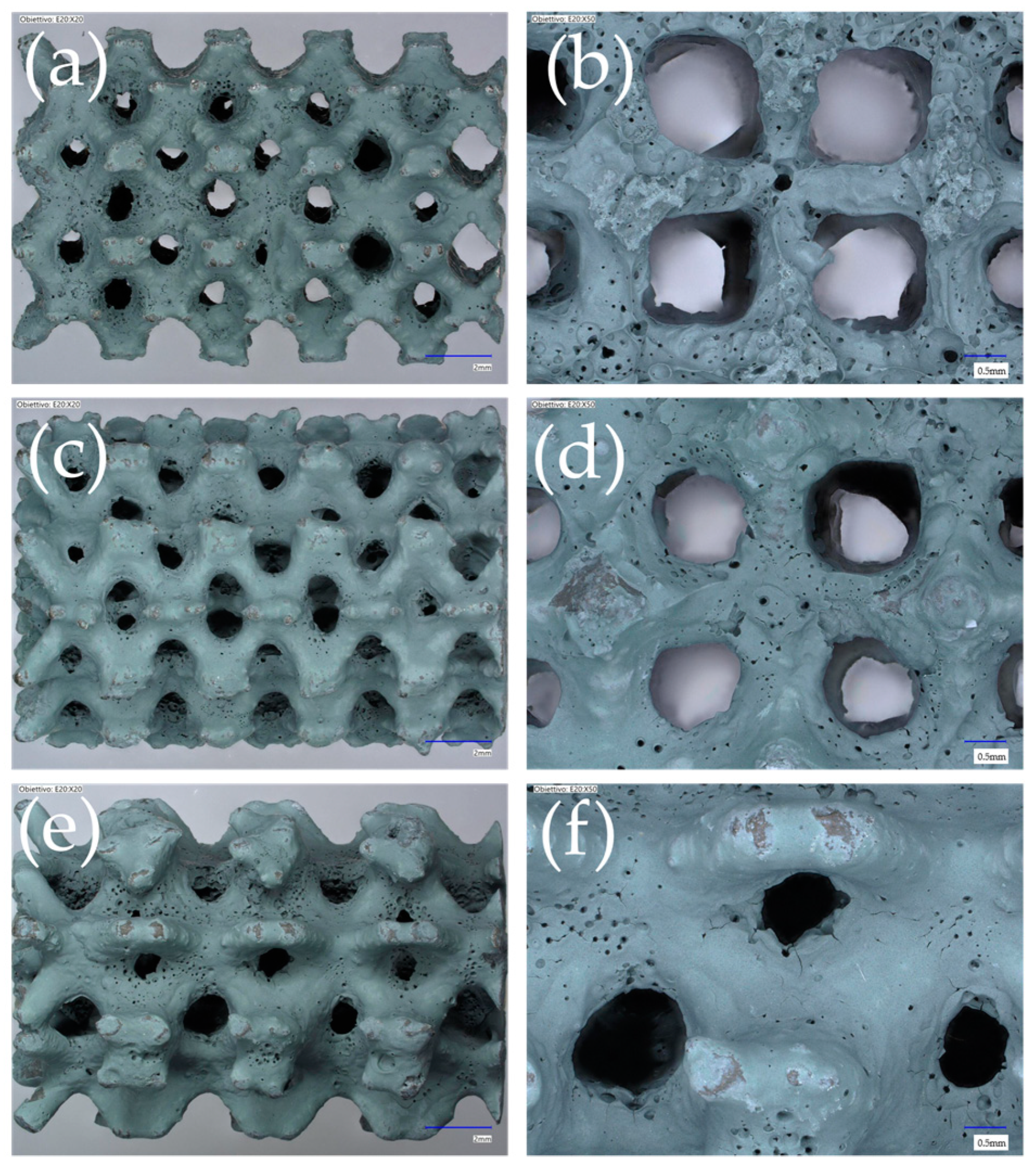 Processes 12 02663 g005