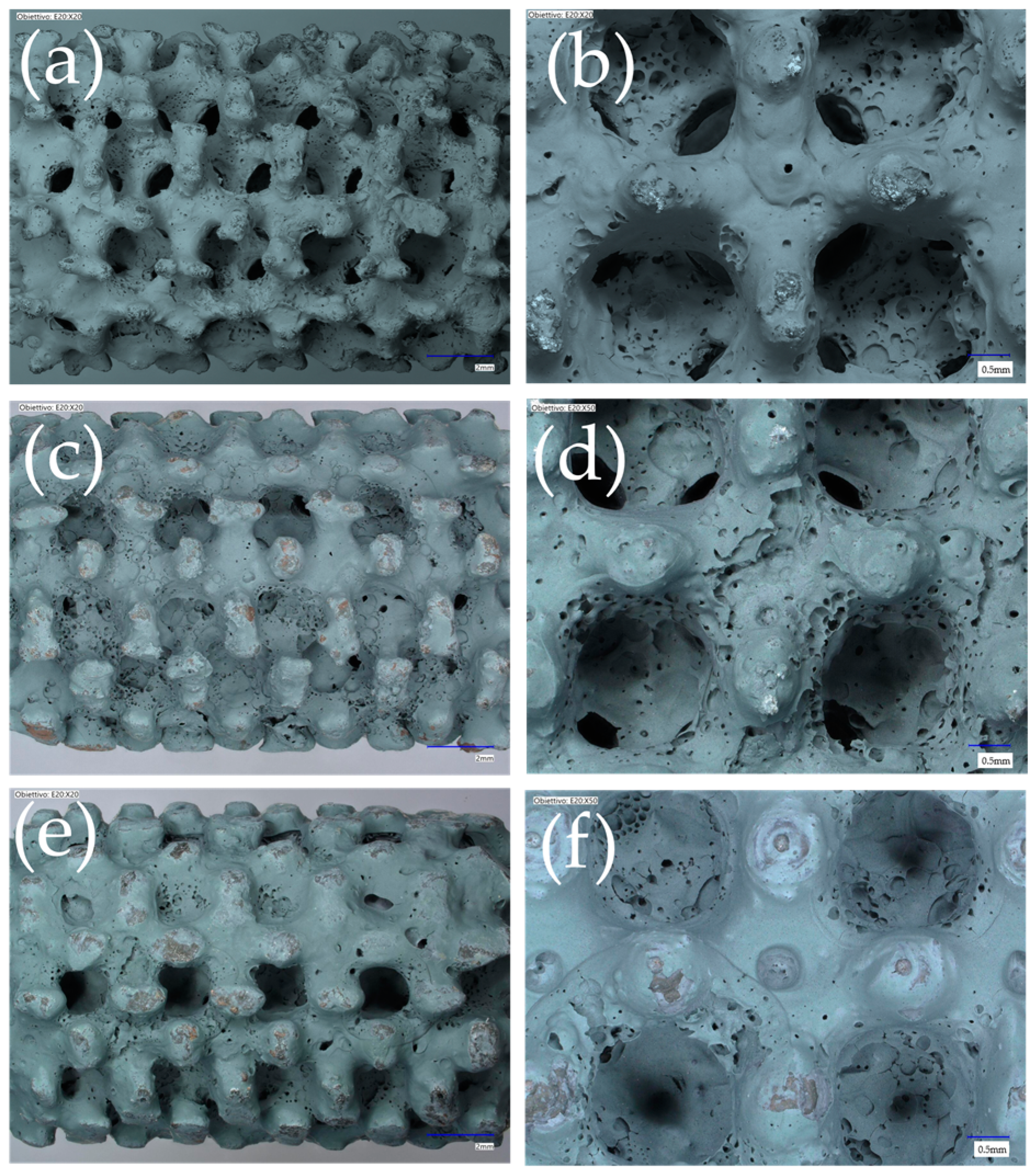Processes 12 02663 g006