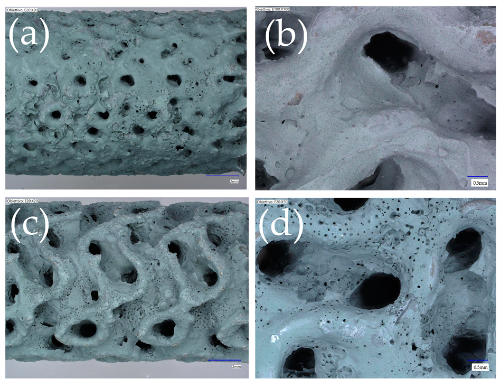 Processes 12 02663 g007