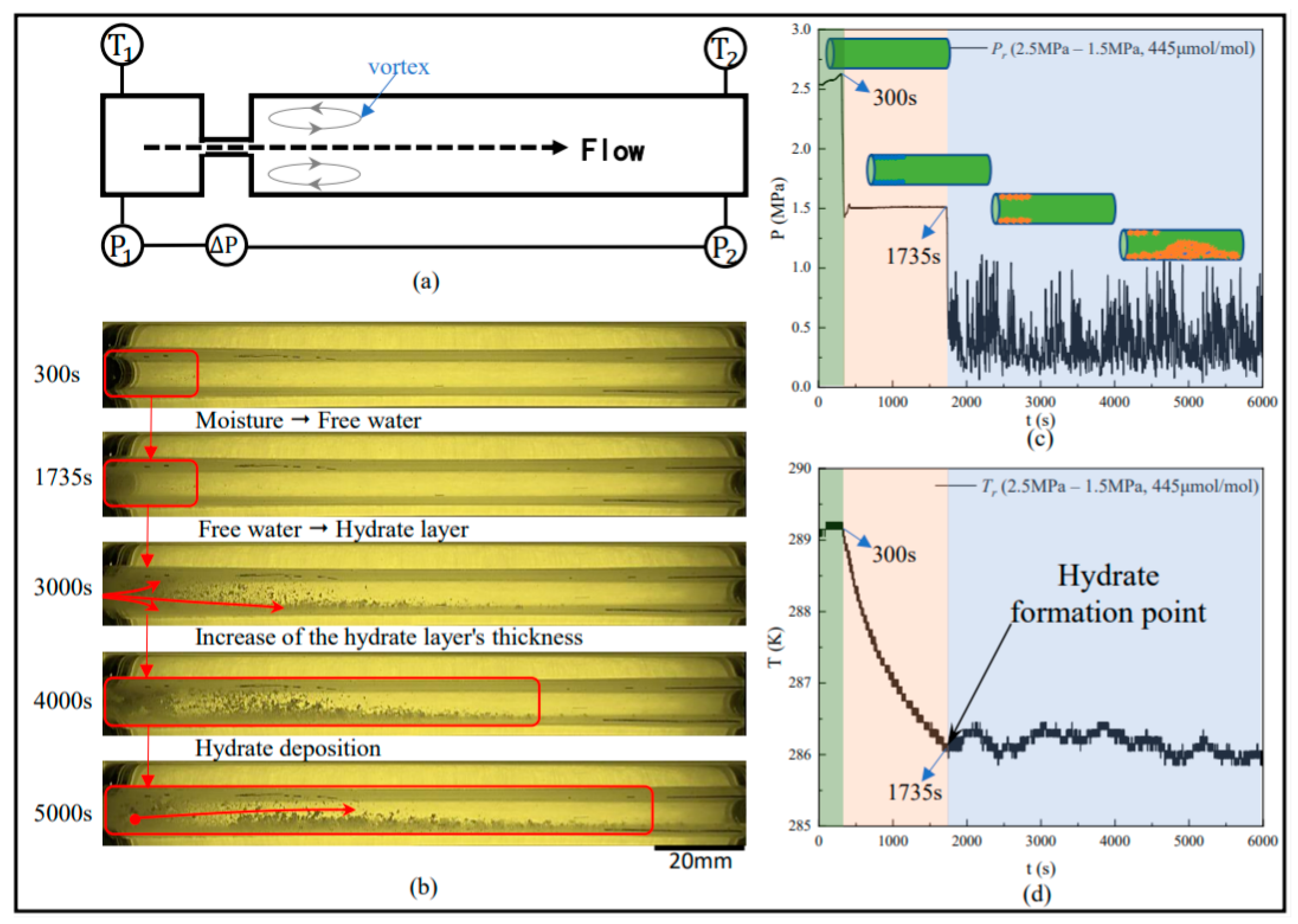 Processes 12 02665 g002