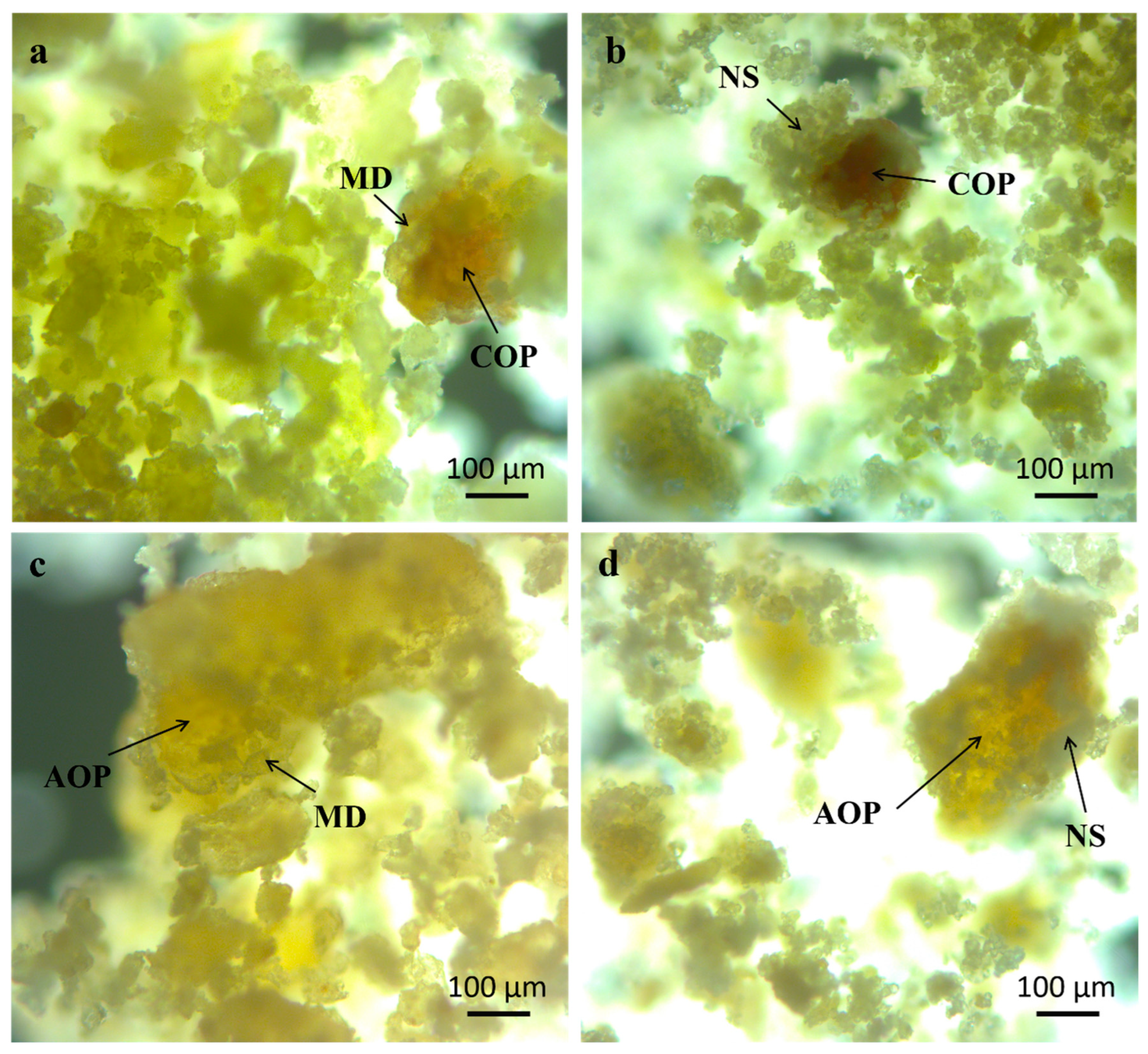 Processes 12 02666 g001