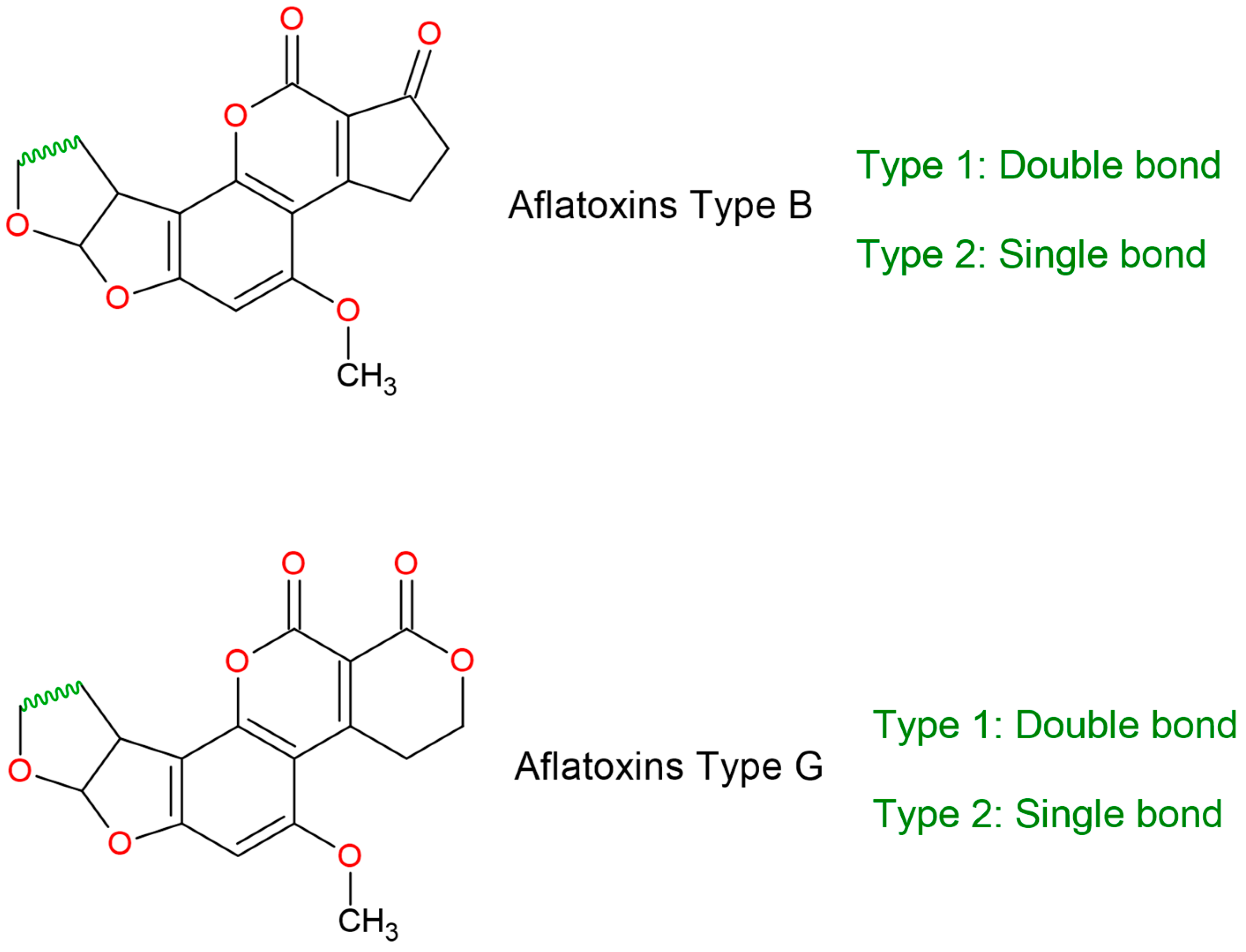Processes 12 02673 g001
