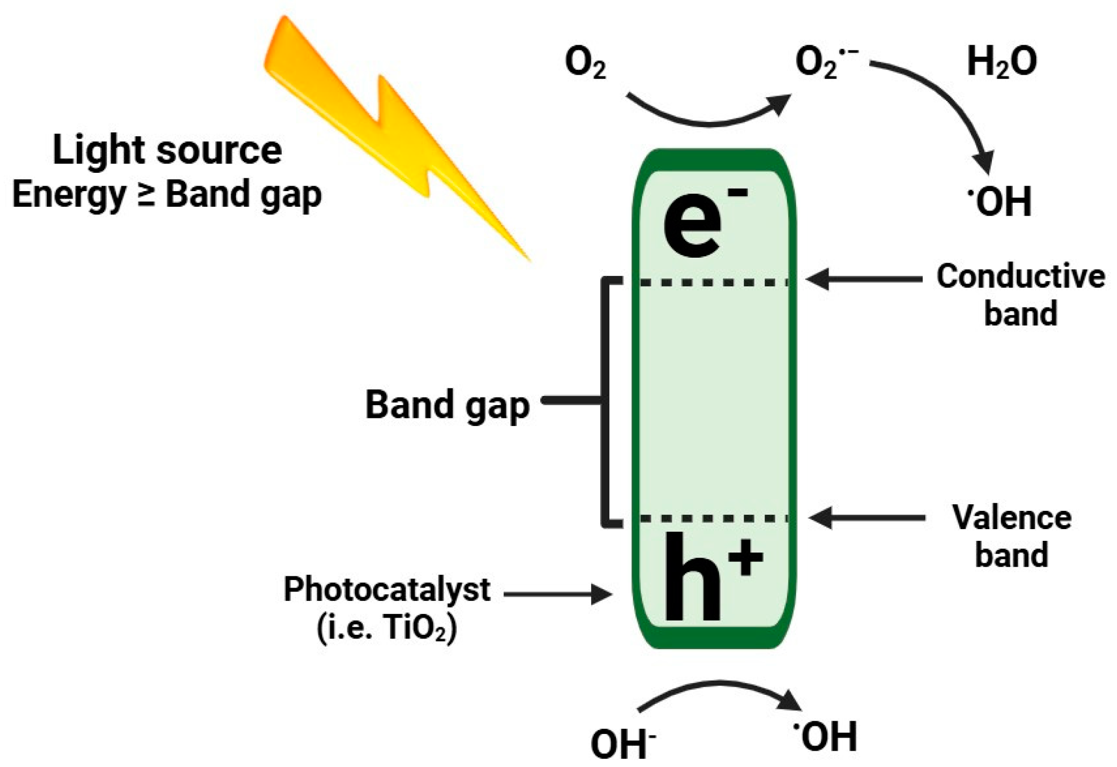 Processes 12 02673 g002