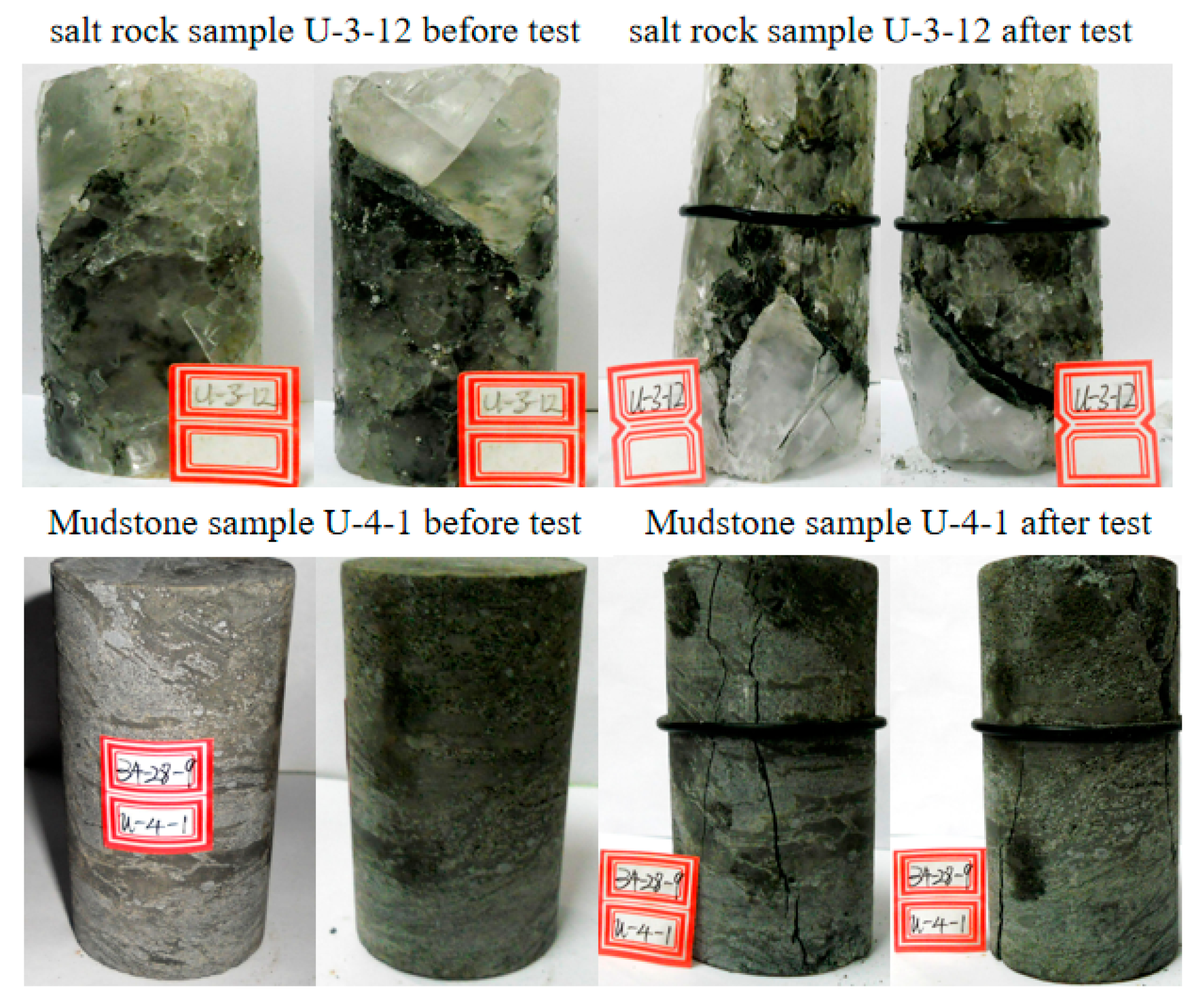 Processes 12 02676 g011