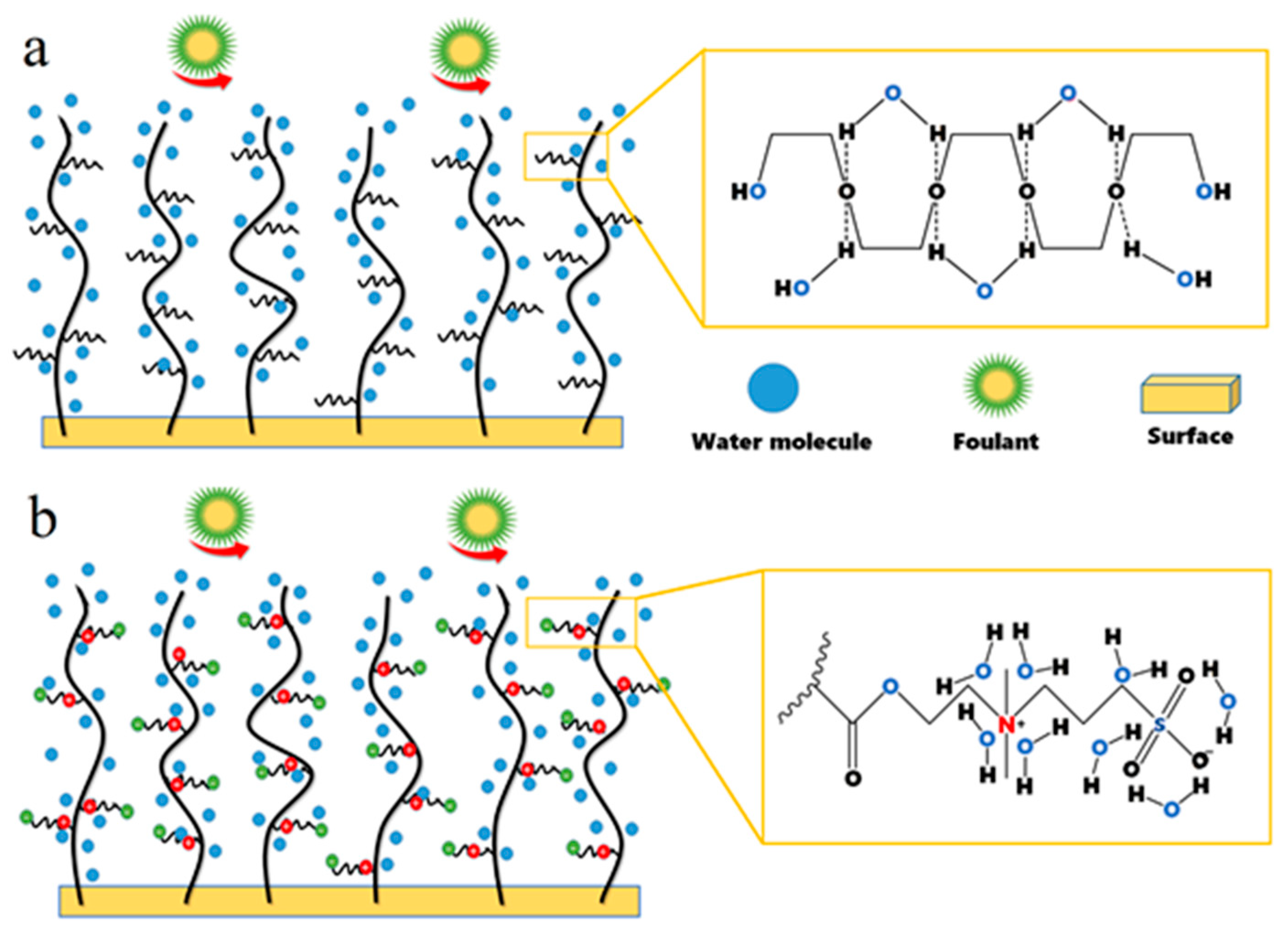 Processes 12 02681 g005