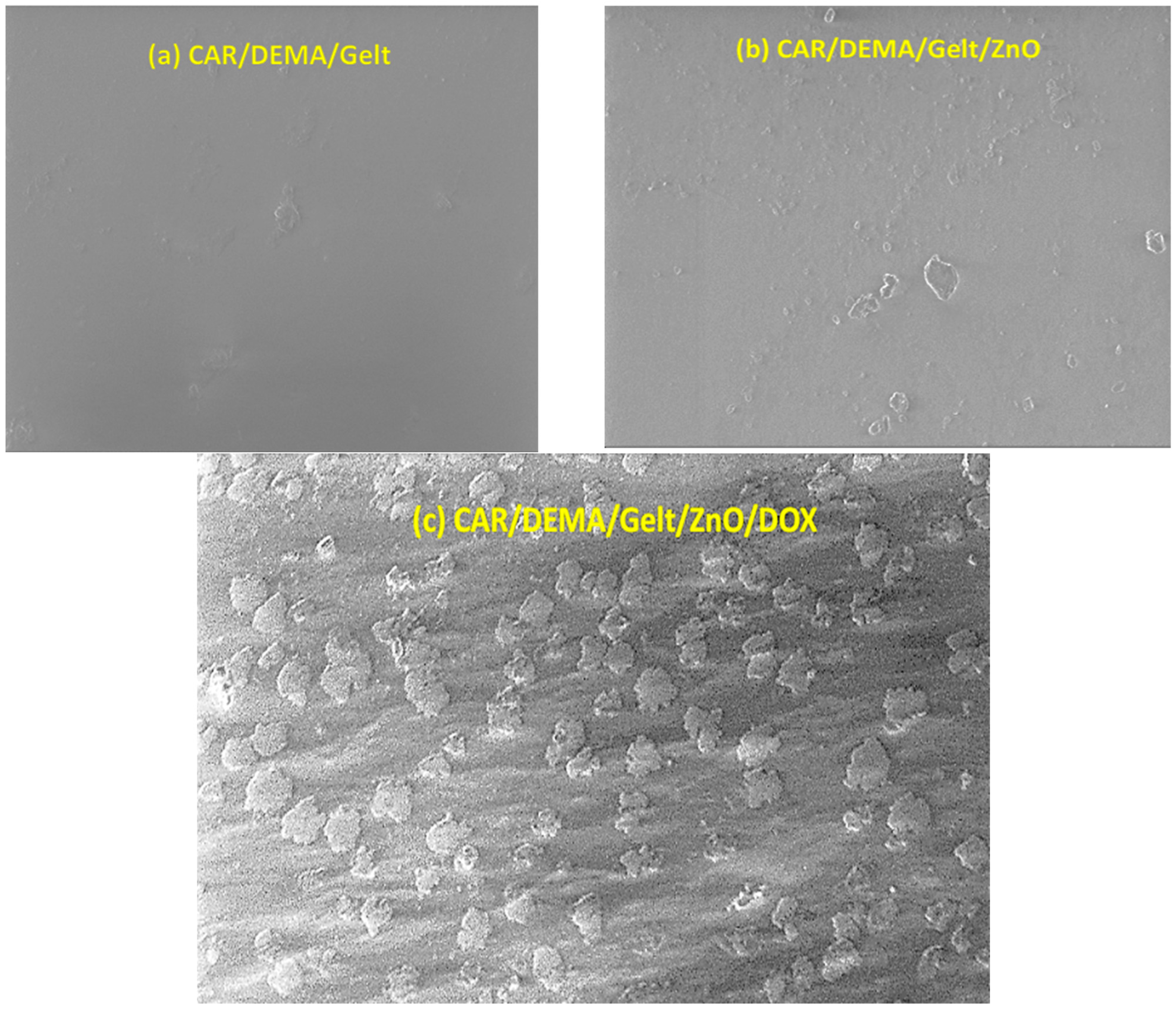 Processes 12 02702 g004